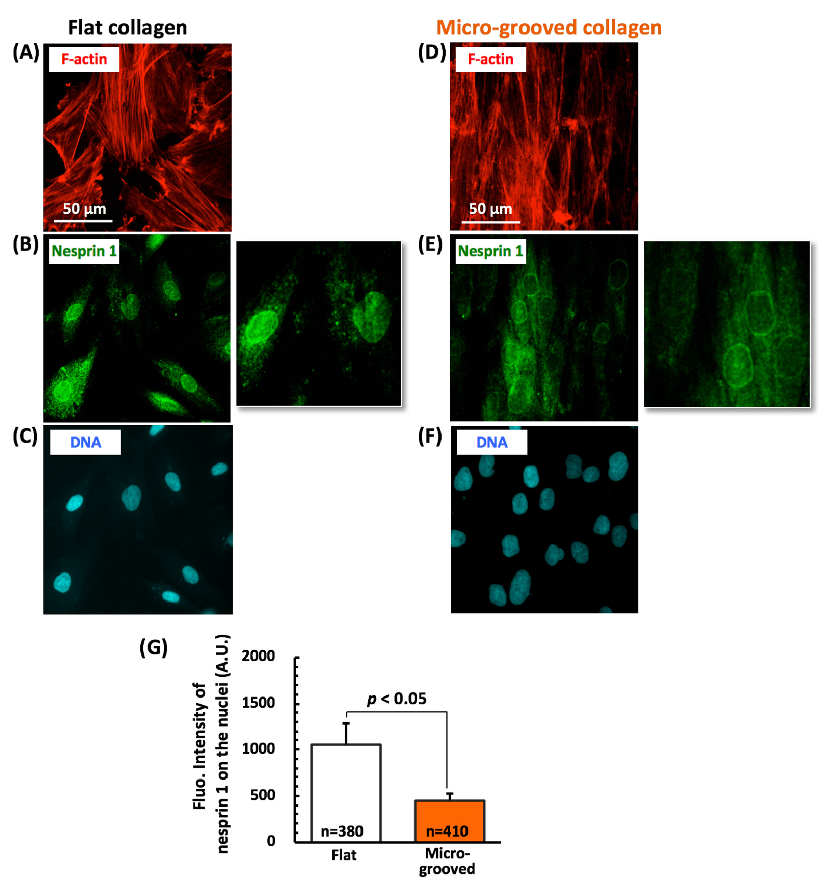 Bioengineering 08 00124 g007