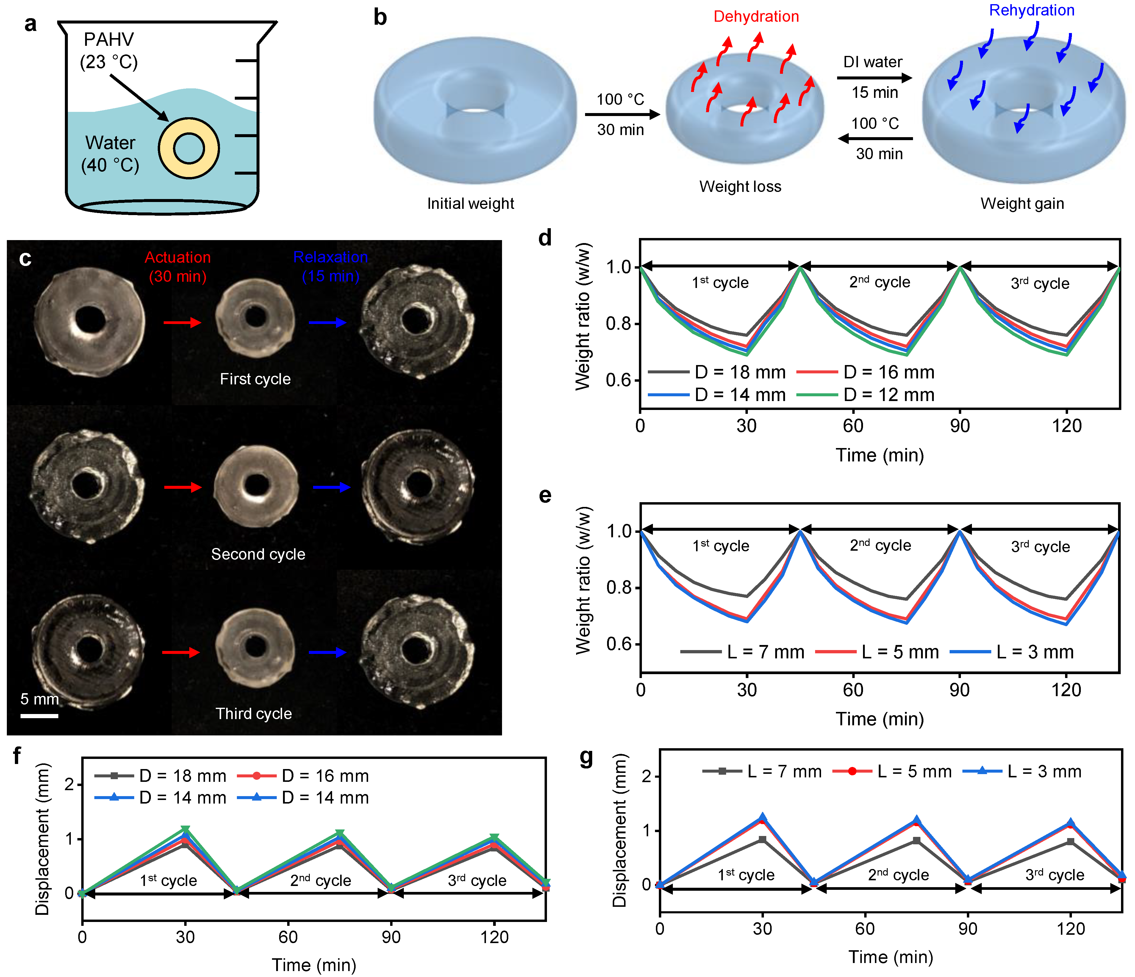 Bioengineering 08 00127 g008 550
