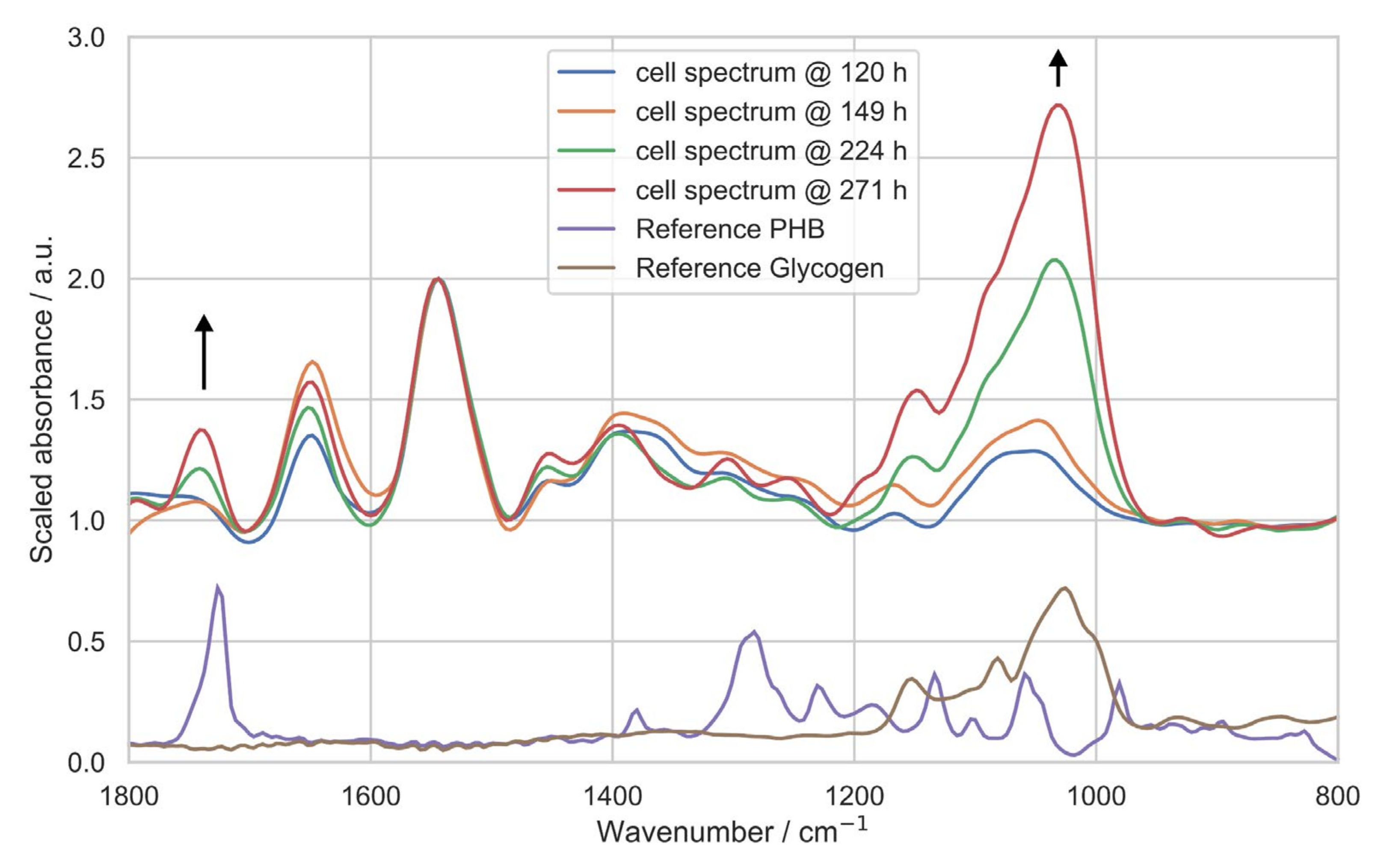Bioengineering 08 00129 g003 550