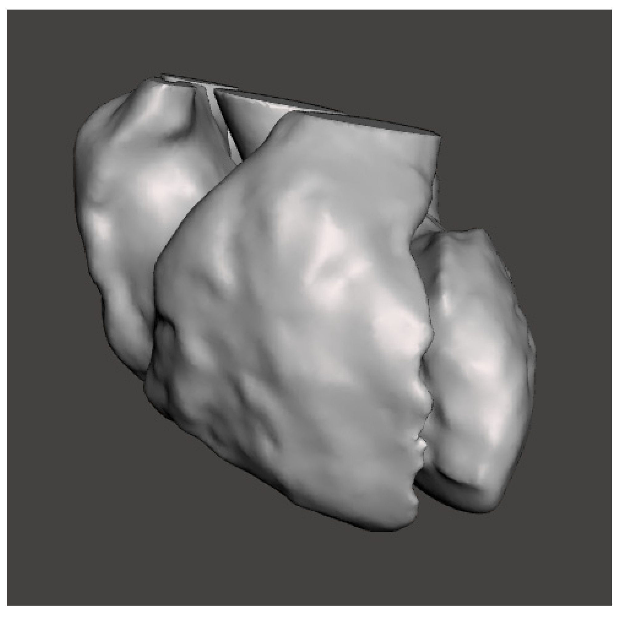 Bioengineering 08 00130 g003