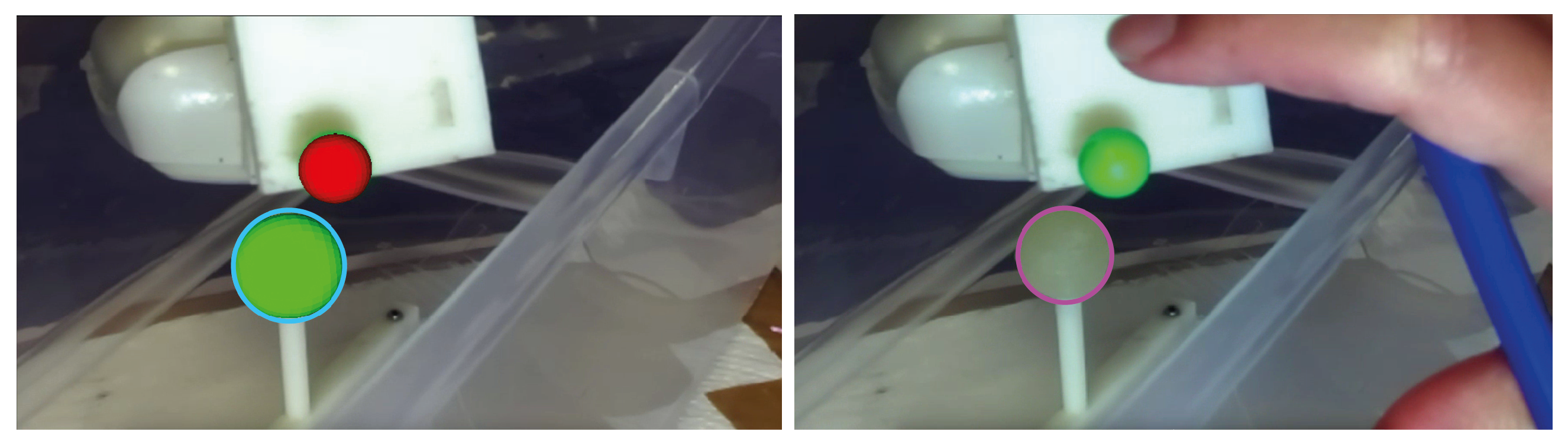 Bioengineering 08 00131 g007 550