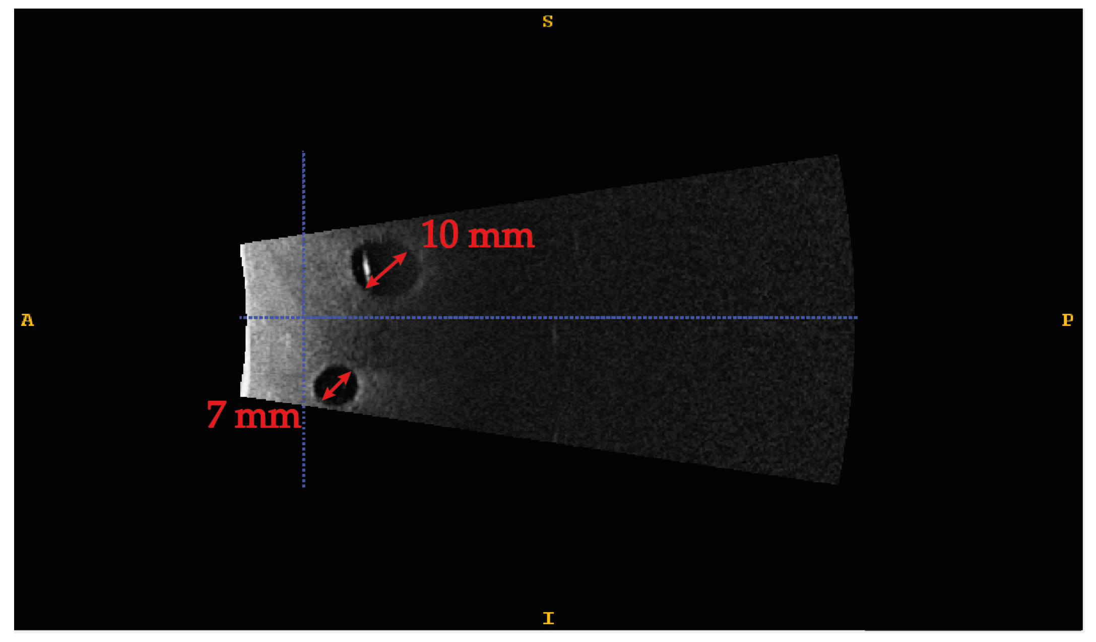 Bioengineering 08 00131 g008 550