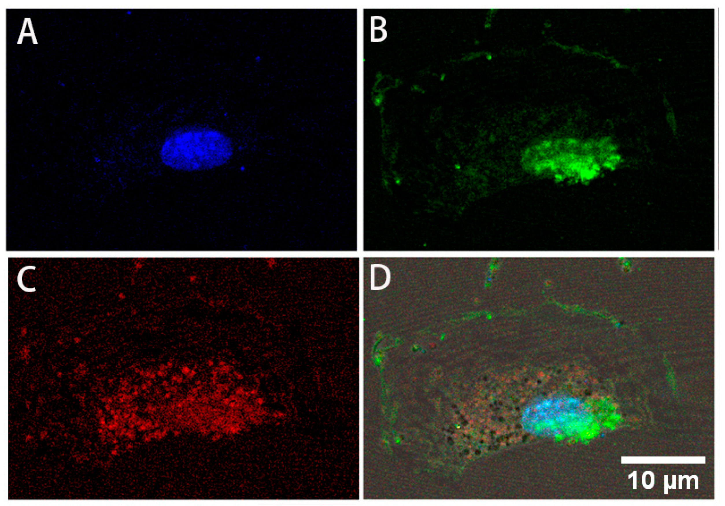 Bioengineering 08 00132 g003
