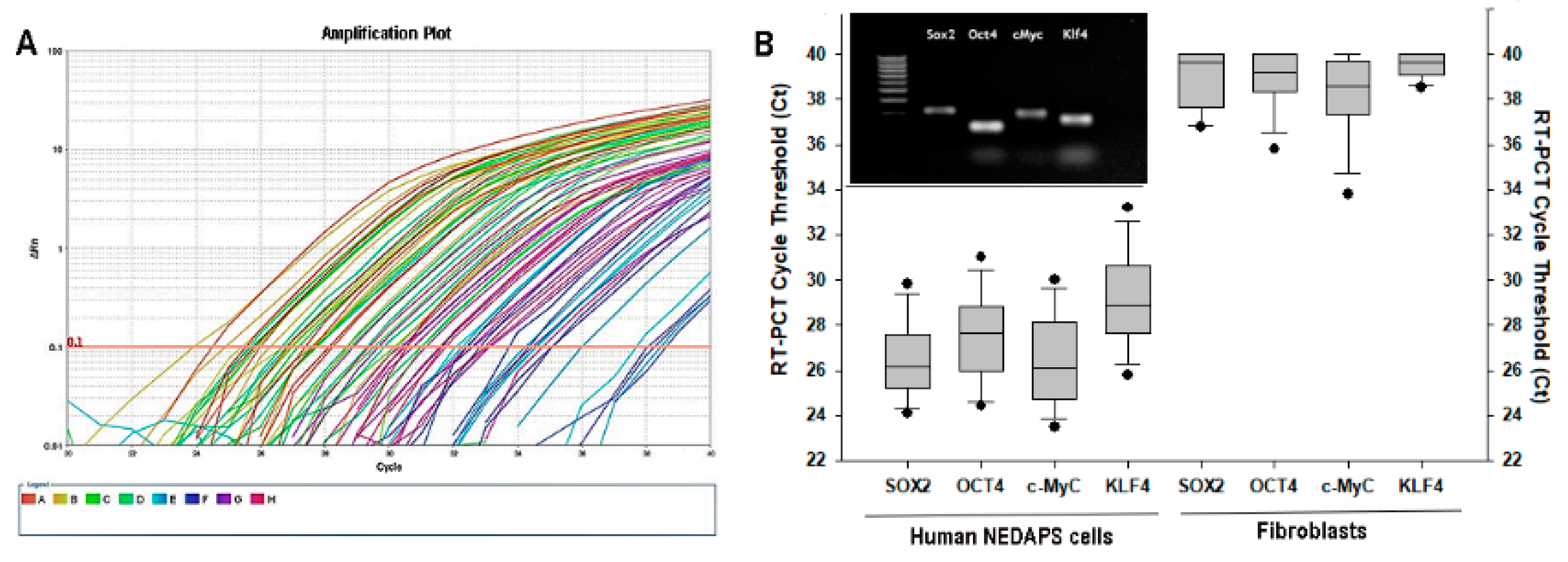 Bioengineering 08 00132 g004