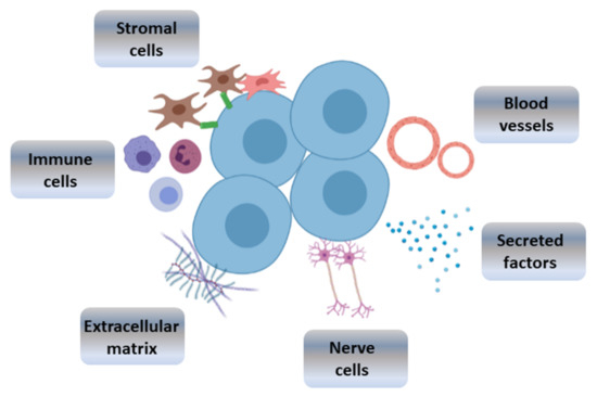 Biofabrication of Artificial Stem Cell Niches in the