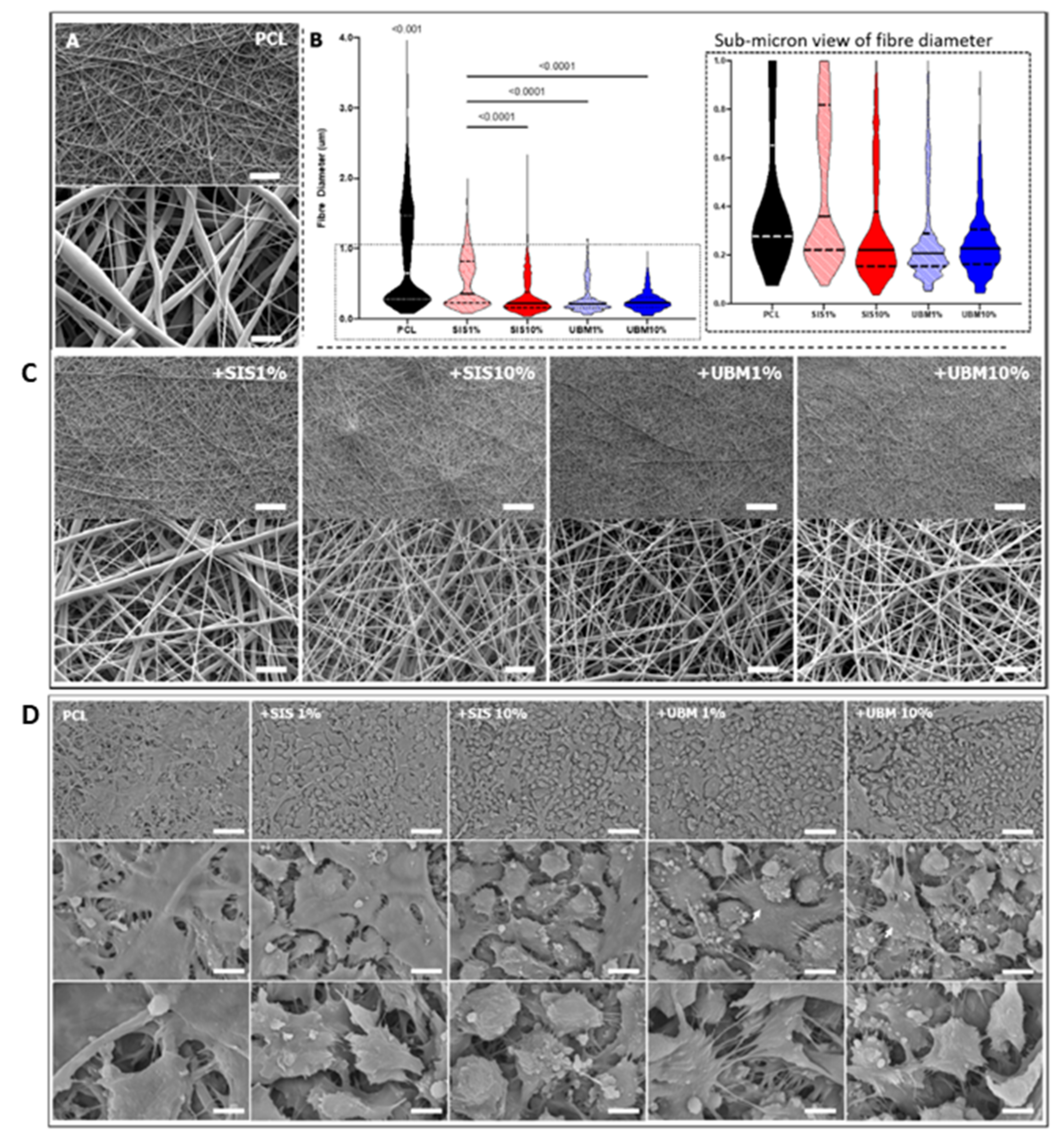 Bioengineering 08 00135 g007