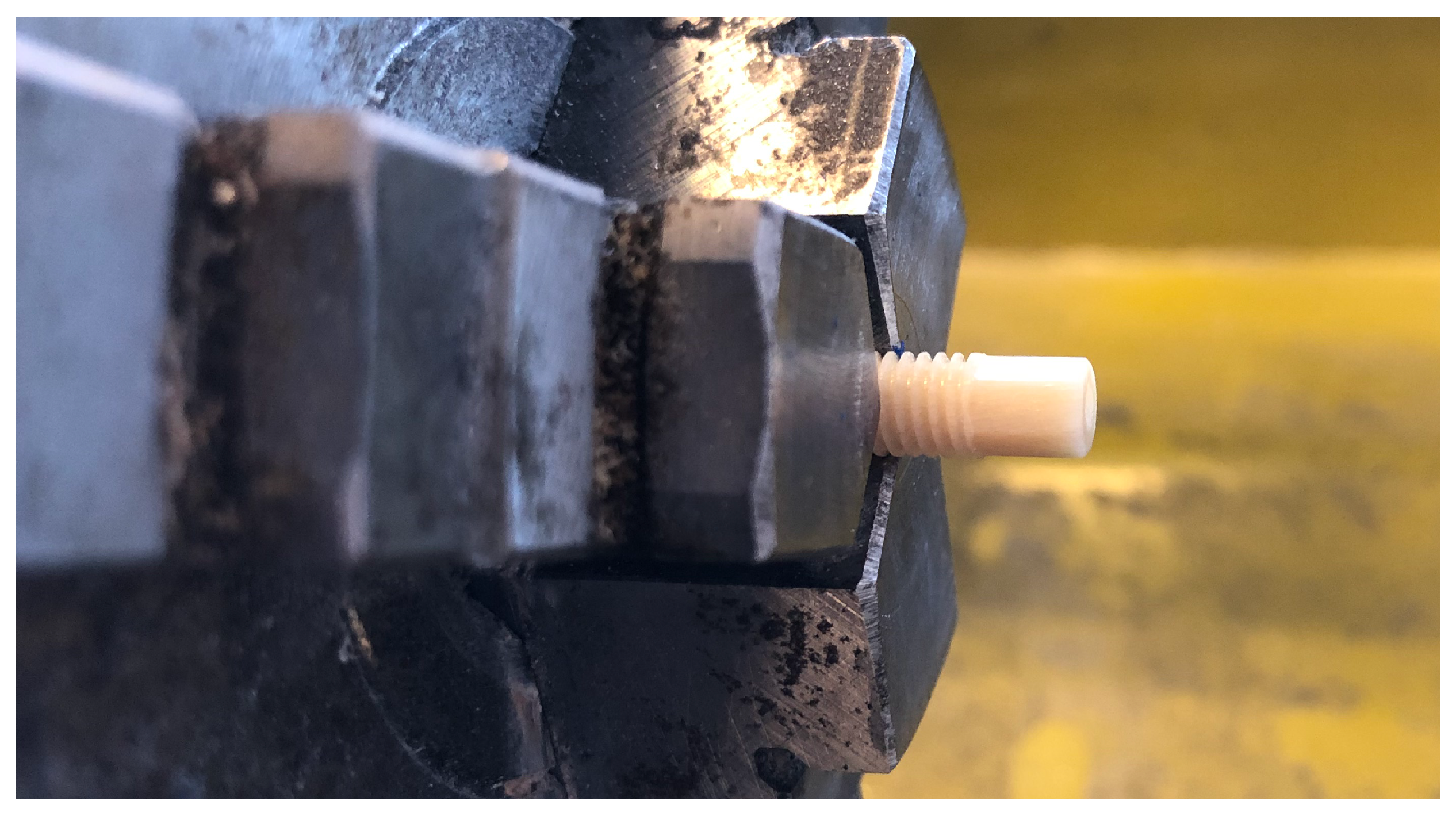 Bioengineering 08 00136 g003