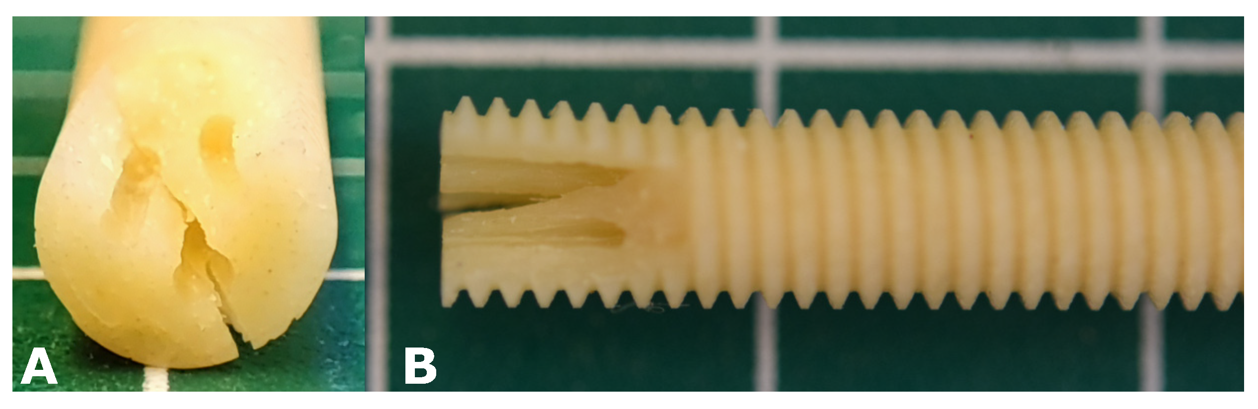 Bioengineering 08 00136 g007