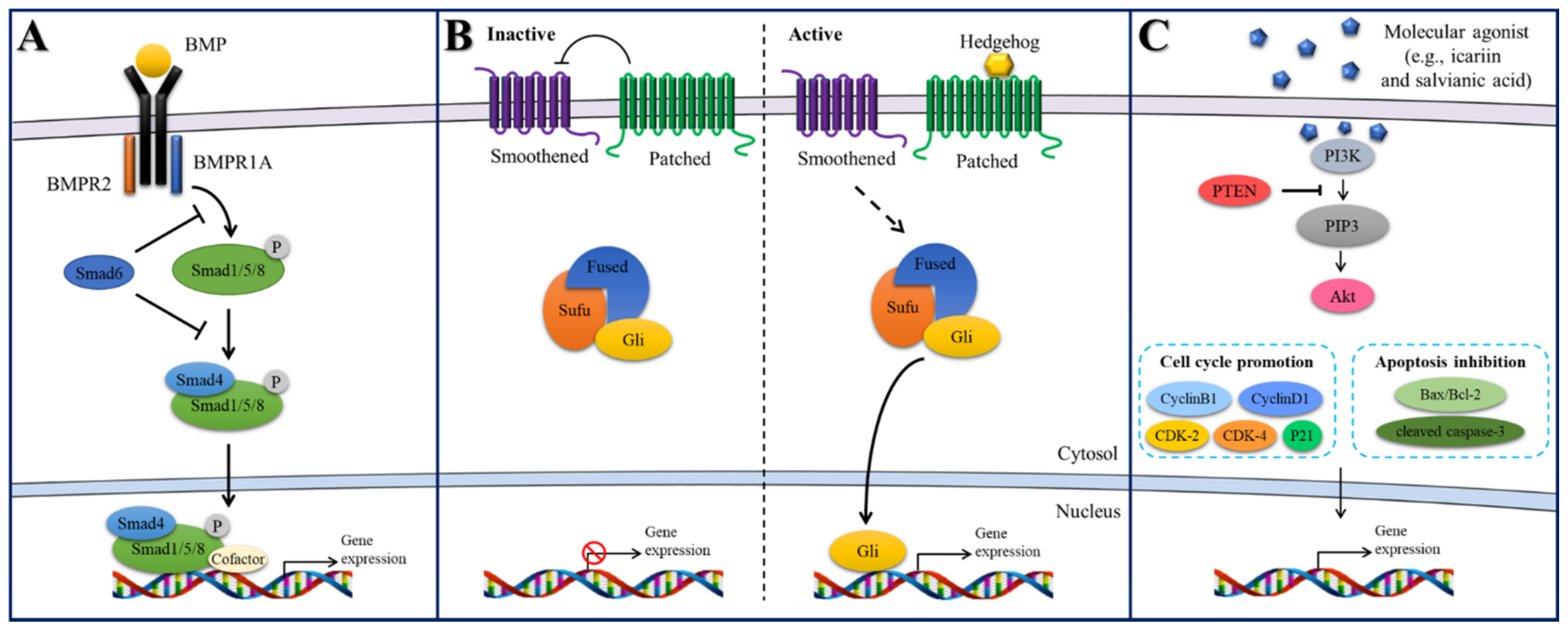 Bioengineering 08 00137 g002