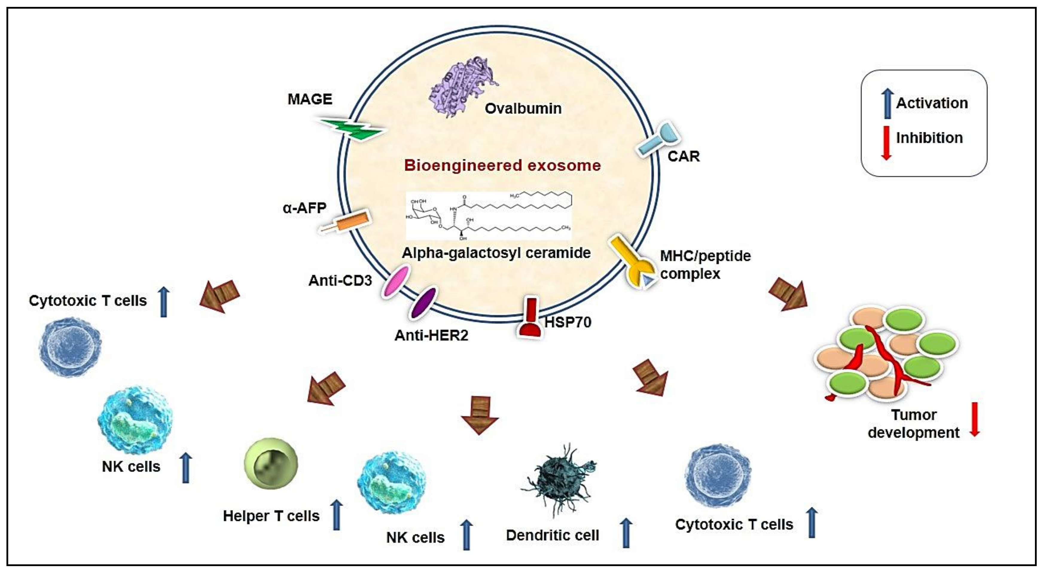 Bioengineering 08 00139 g002 Bioengineering 08 00139 g002