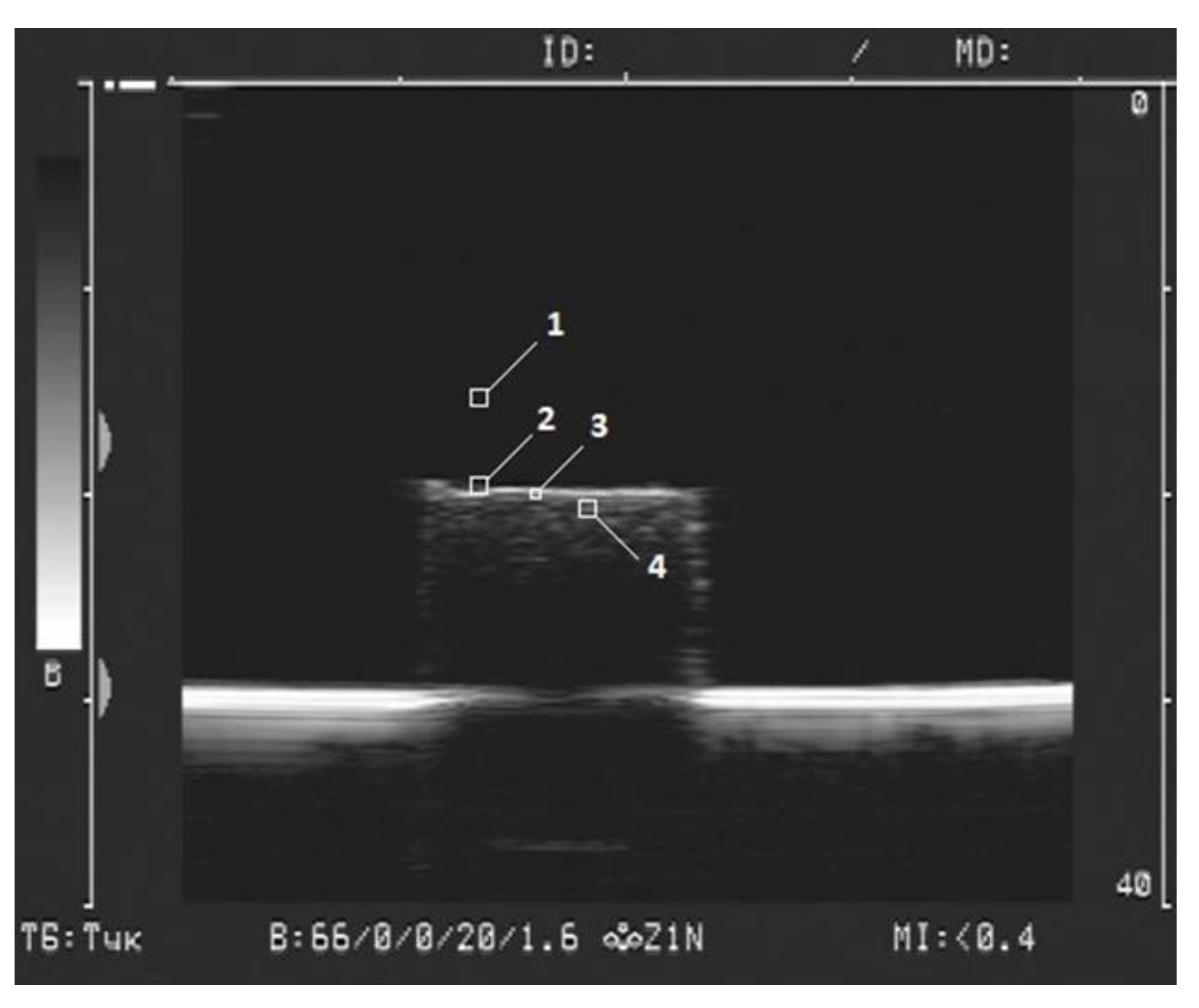 Bioengineering 08 00140 g003 550