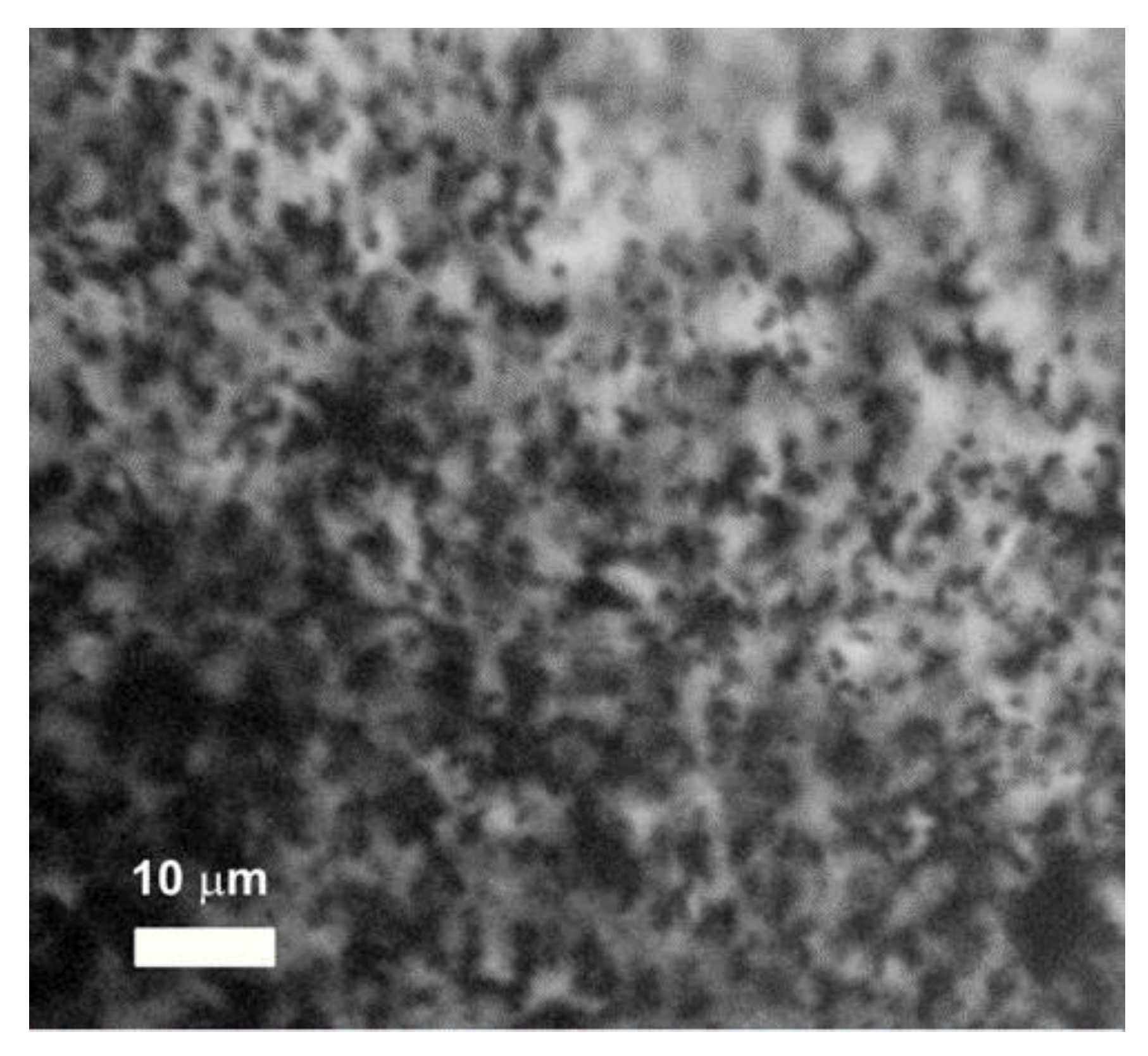 Bioengineering 08 00140 g004 550