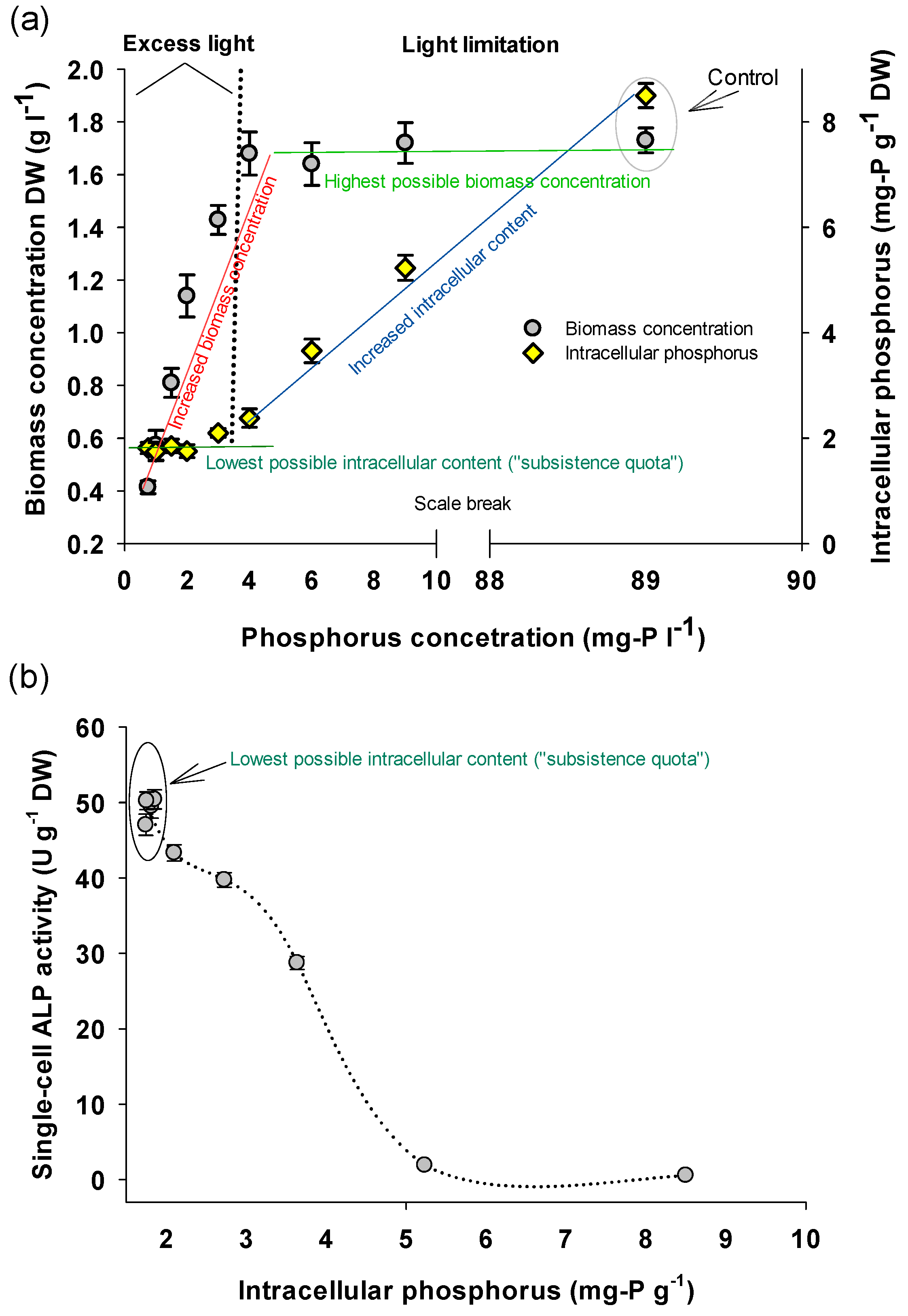Bioengineering 08 00142 g001 550