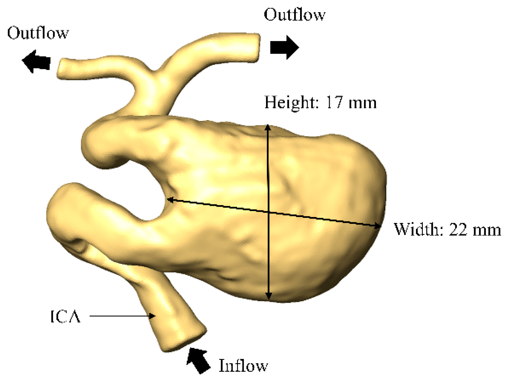 Bioengineering 08 00143 g001