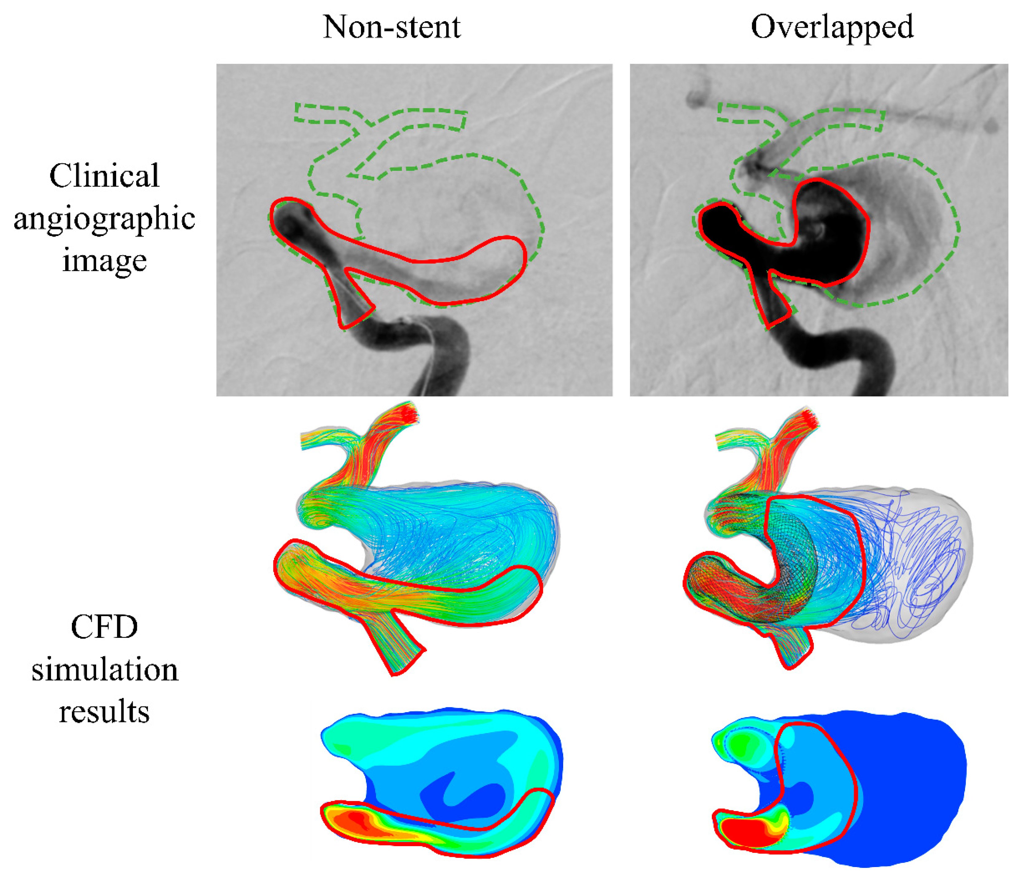 Bioengineering 08 00143 g007