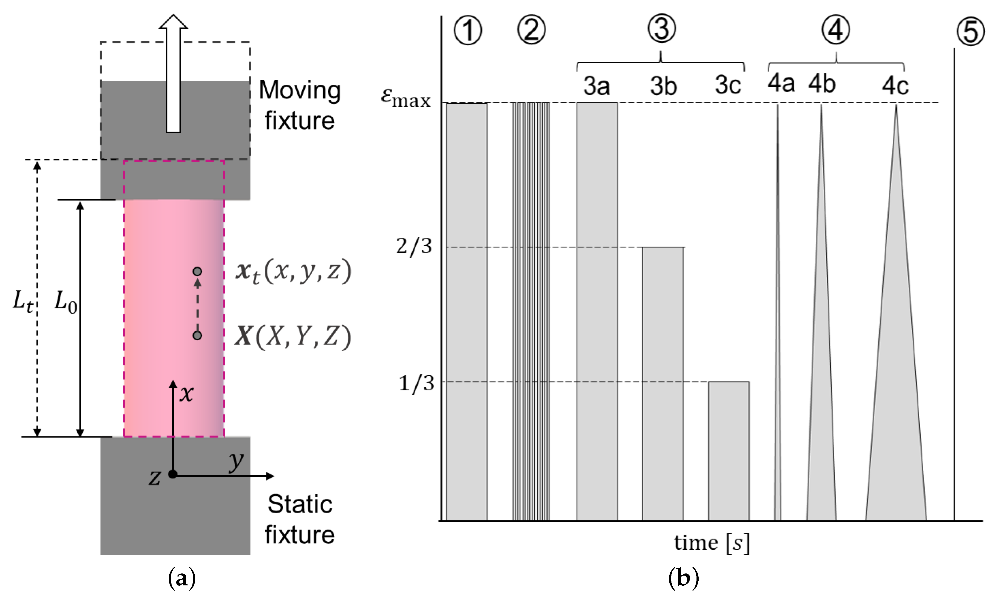 Bioengineering 08 00145 g001 550