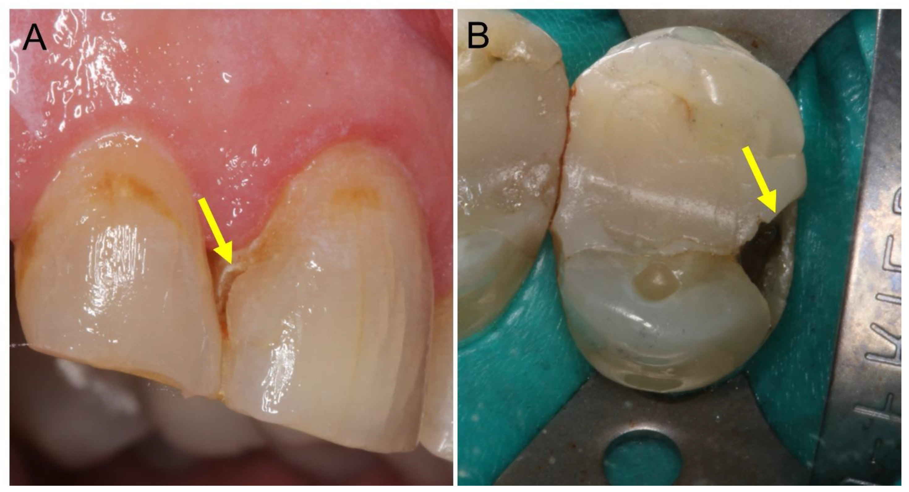 Bioengineering 08 00146 g001