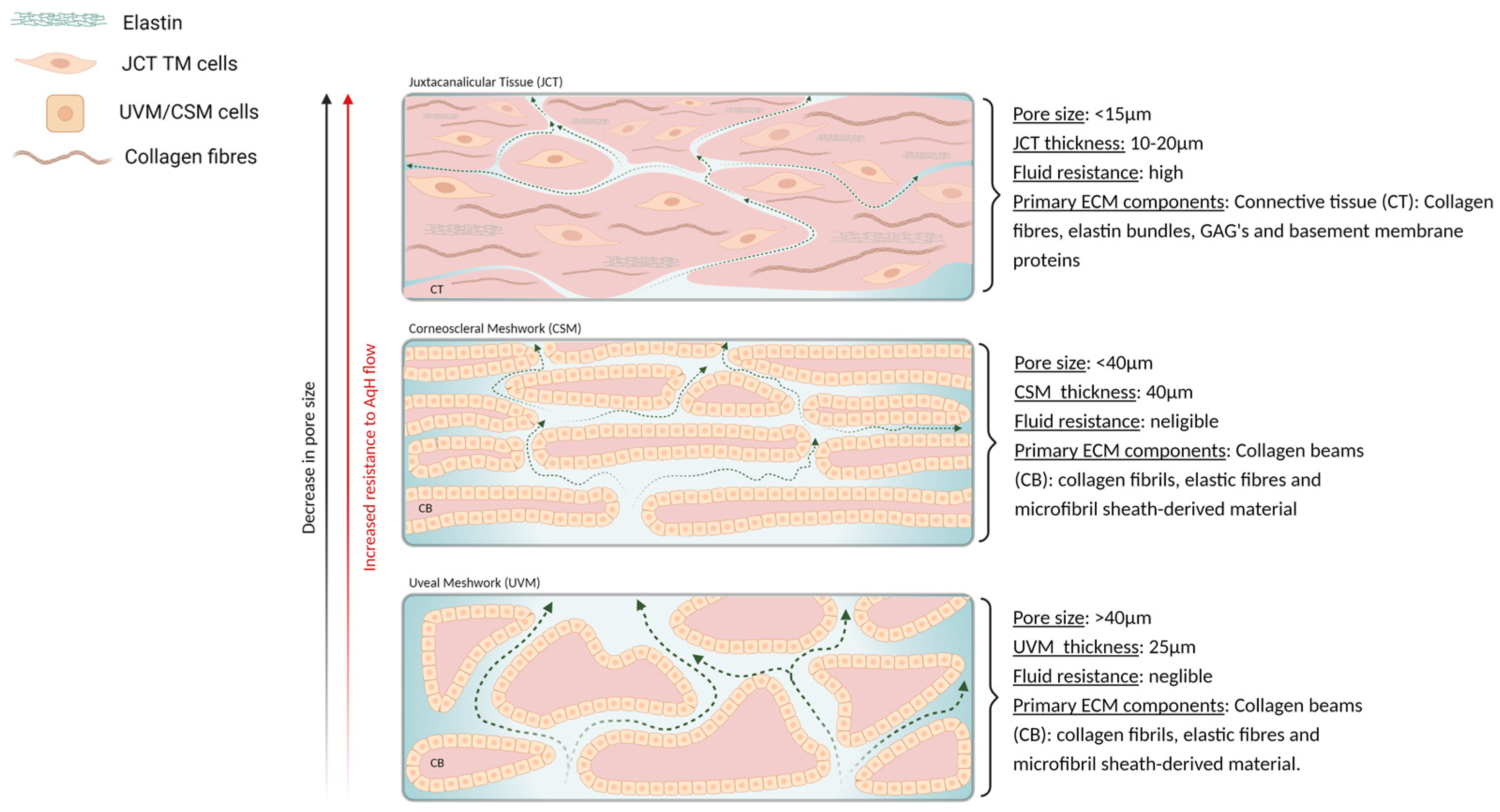 Bioengineering 08 00147 g002 Bioengineering 08 00147 g002