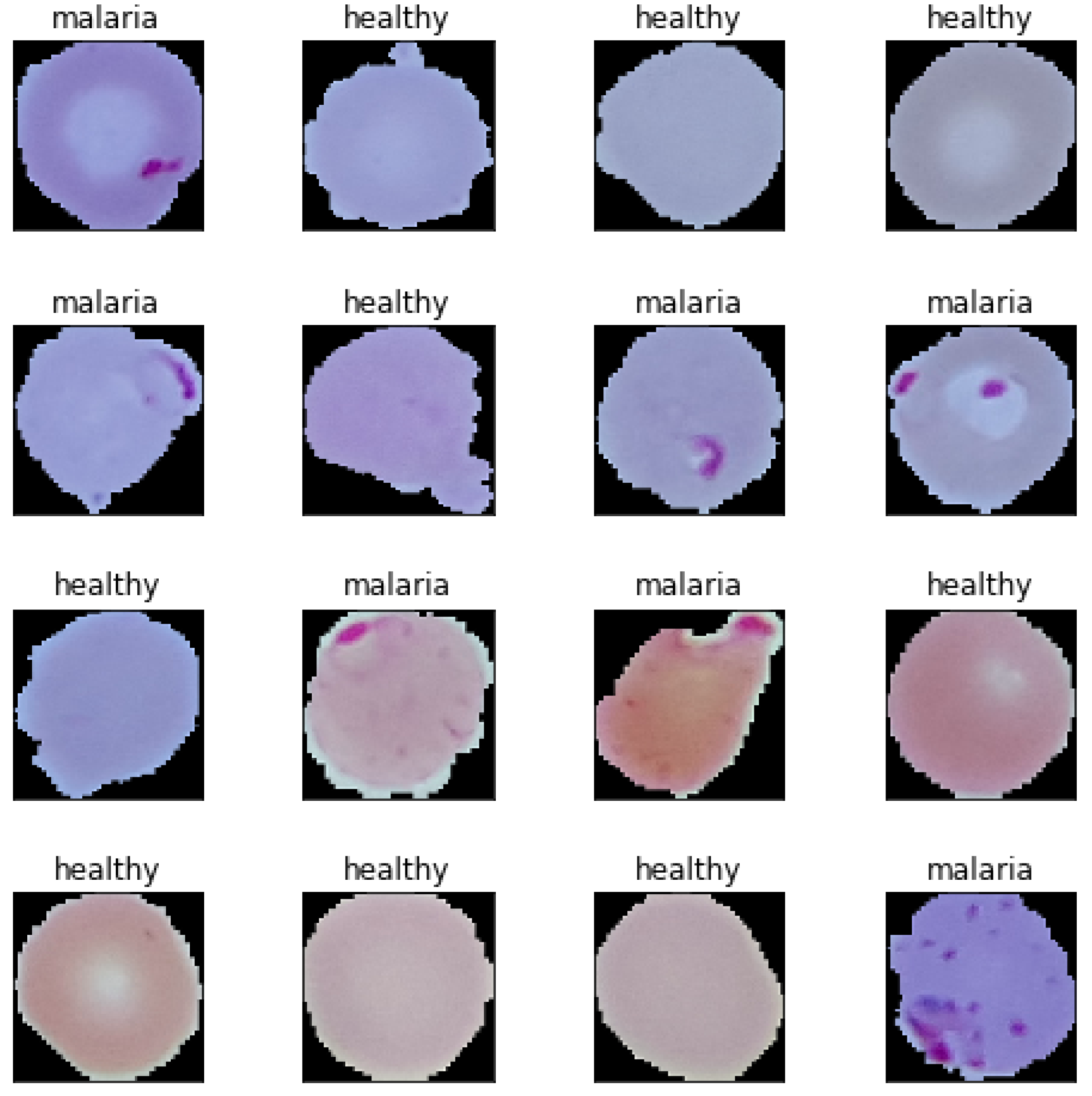 Bioengineering 08 00150 g001 550