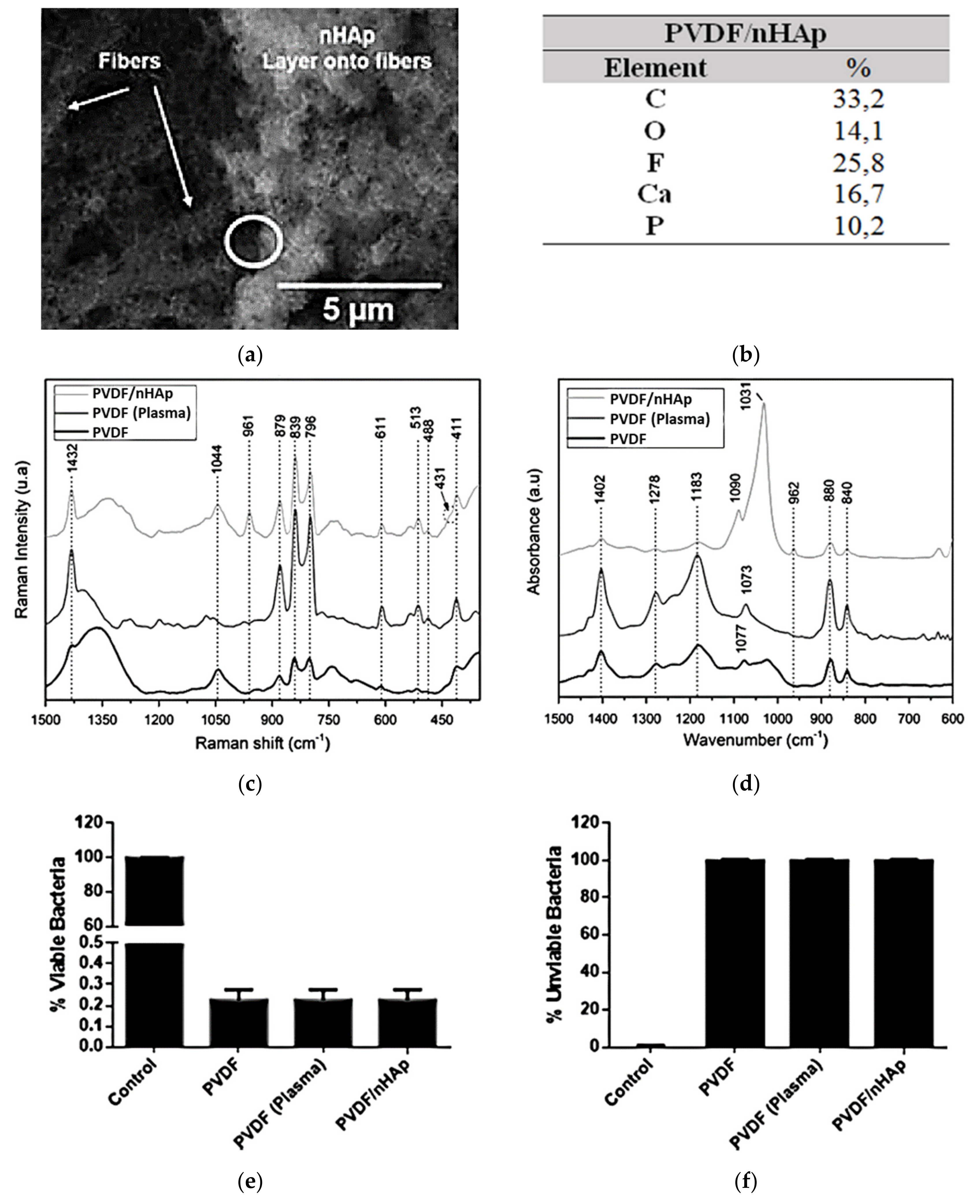 Bioengineering 08 00151 g006