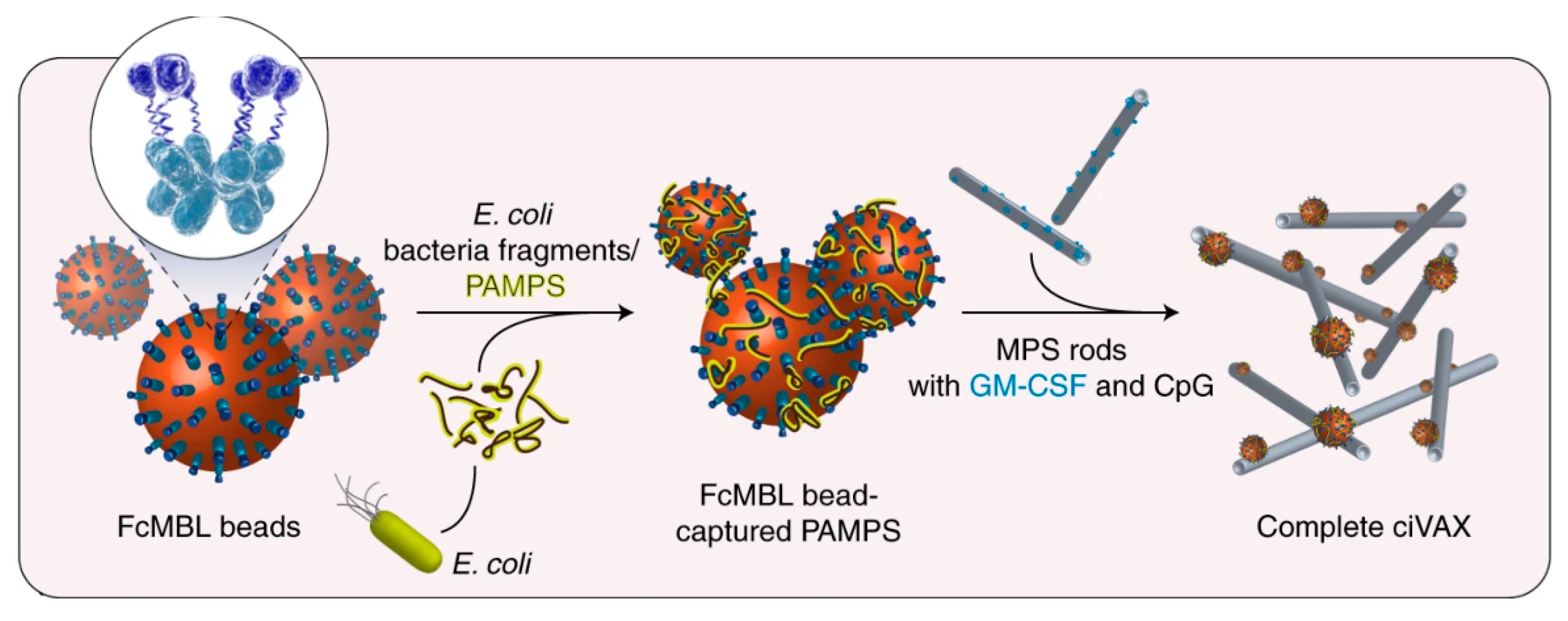 Bioengineering 08 00155 g001