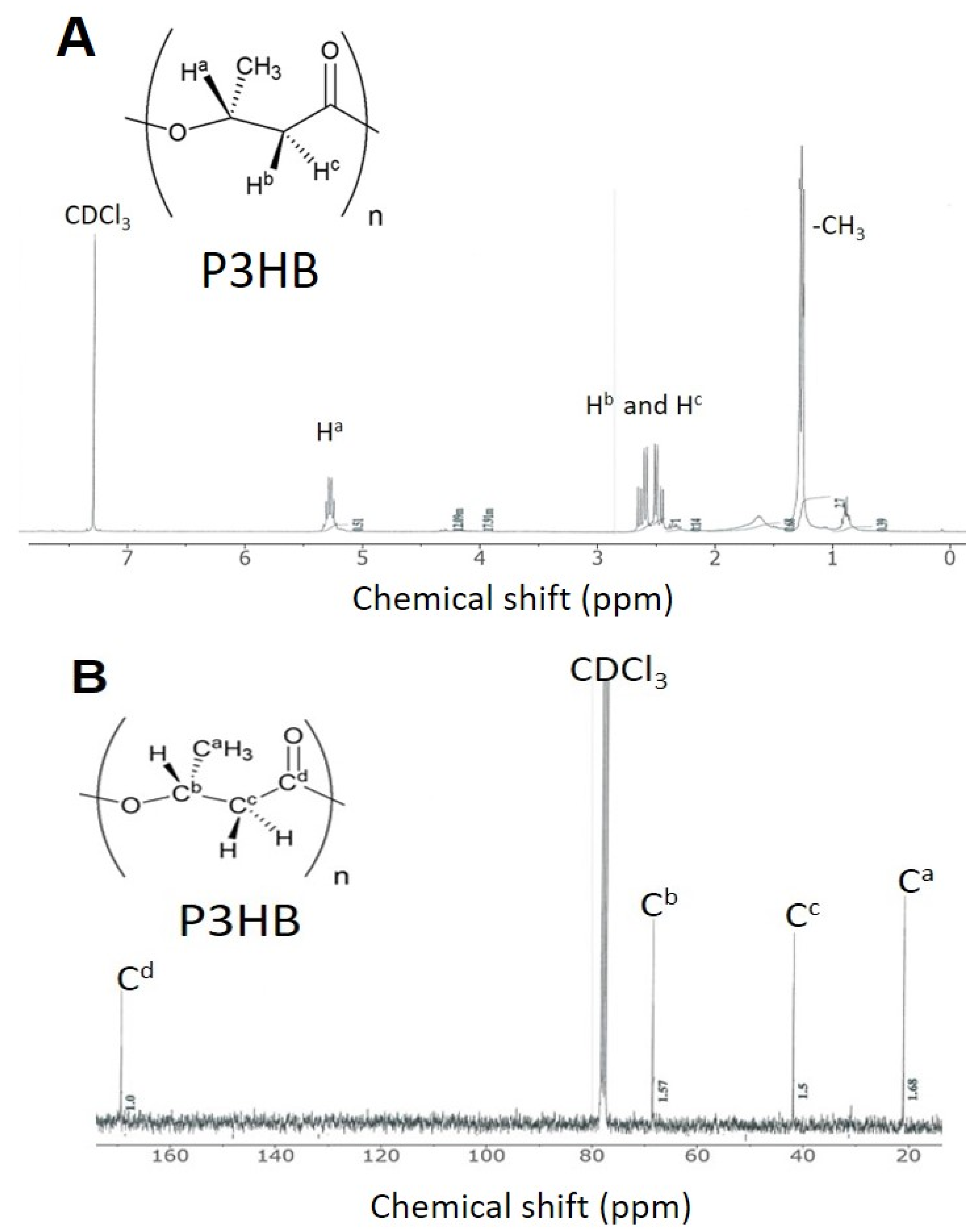 Bioengineering 08 00157 g013 550