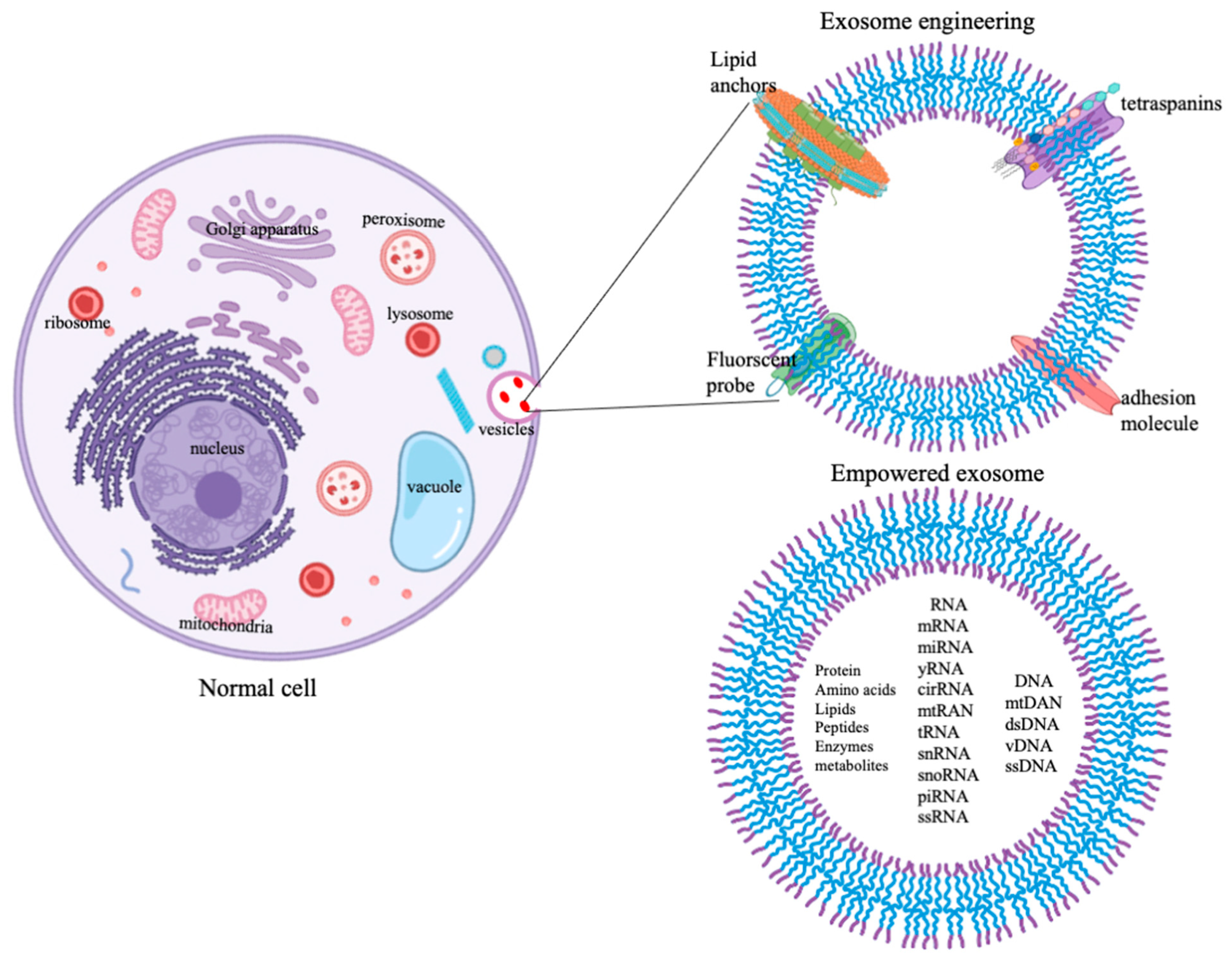 Bioengineering 08 00158 g002 Bioengineering 08 00158 g002