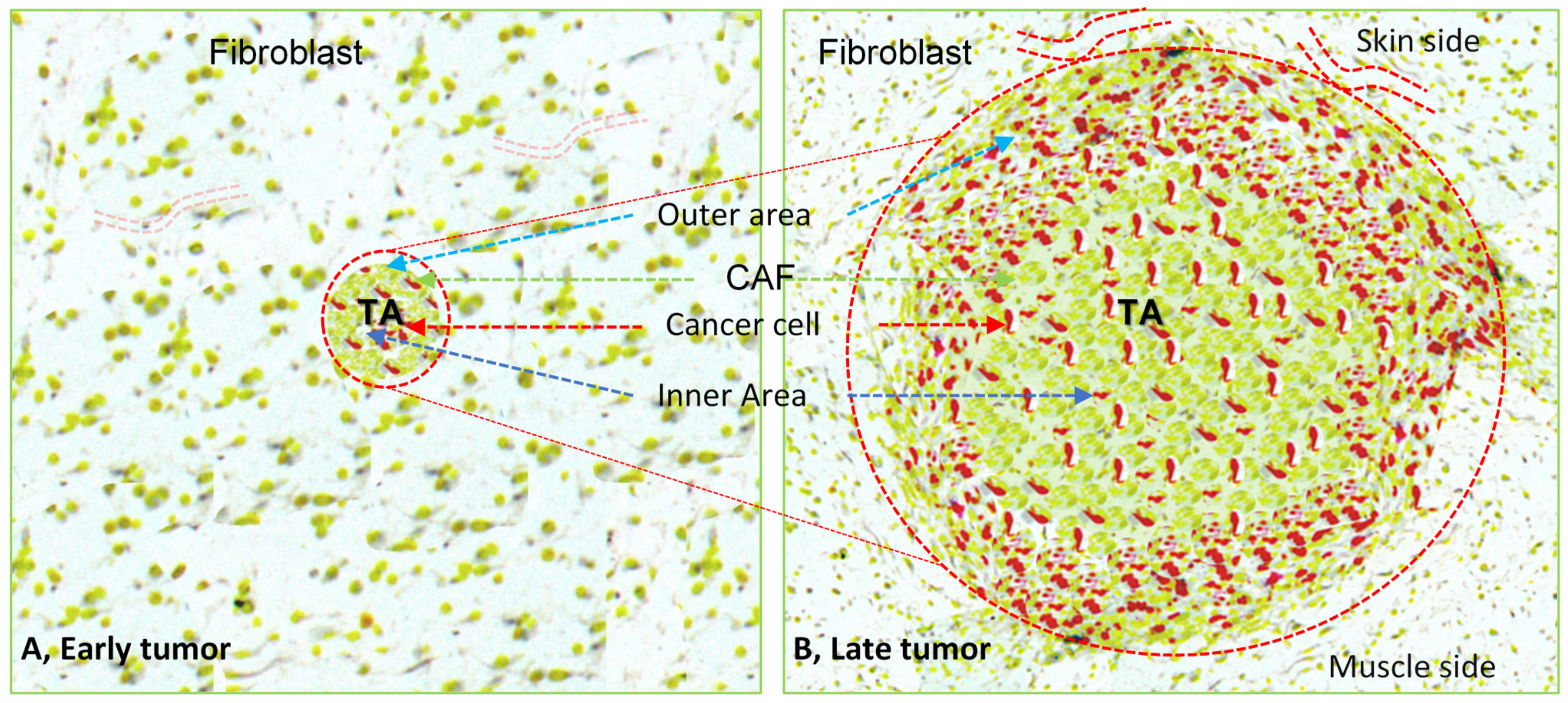 Bioengineering 08 00163 g001 Bioengineering 08 00163 g001
