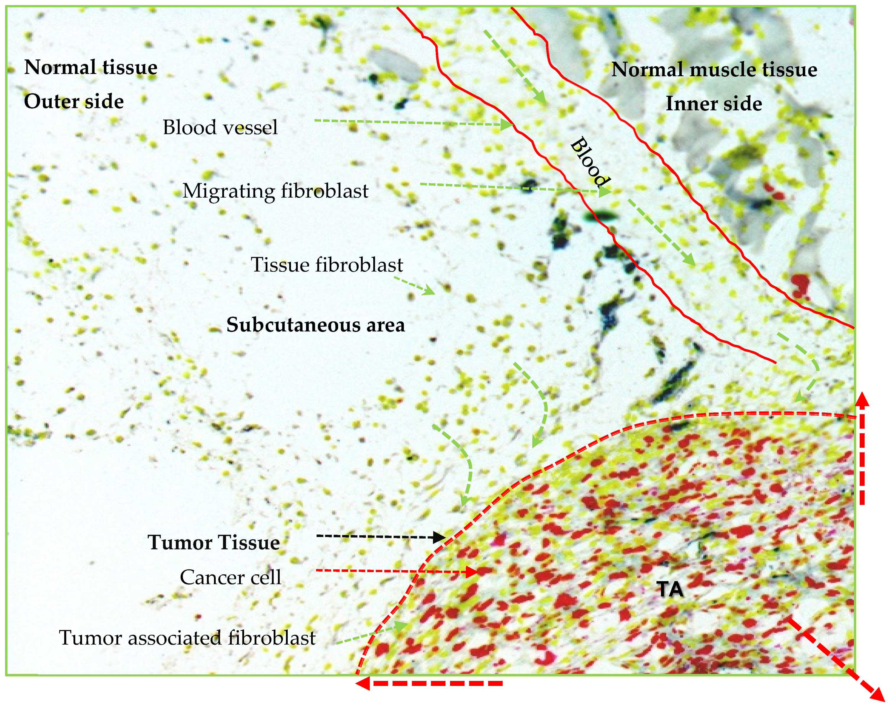 Bioengineering 08 00163 g002 Bioengineering 08 00163 g002