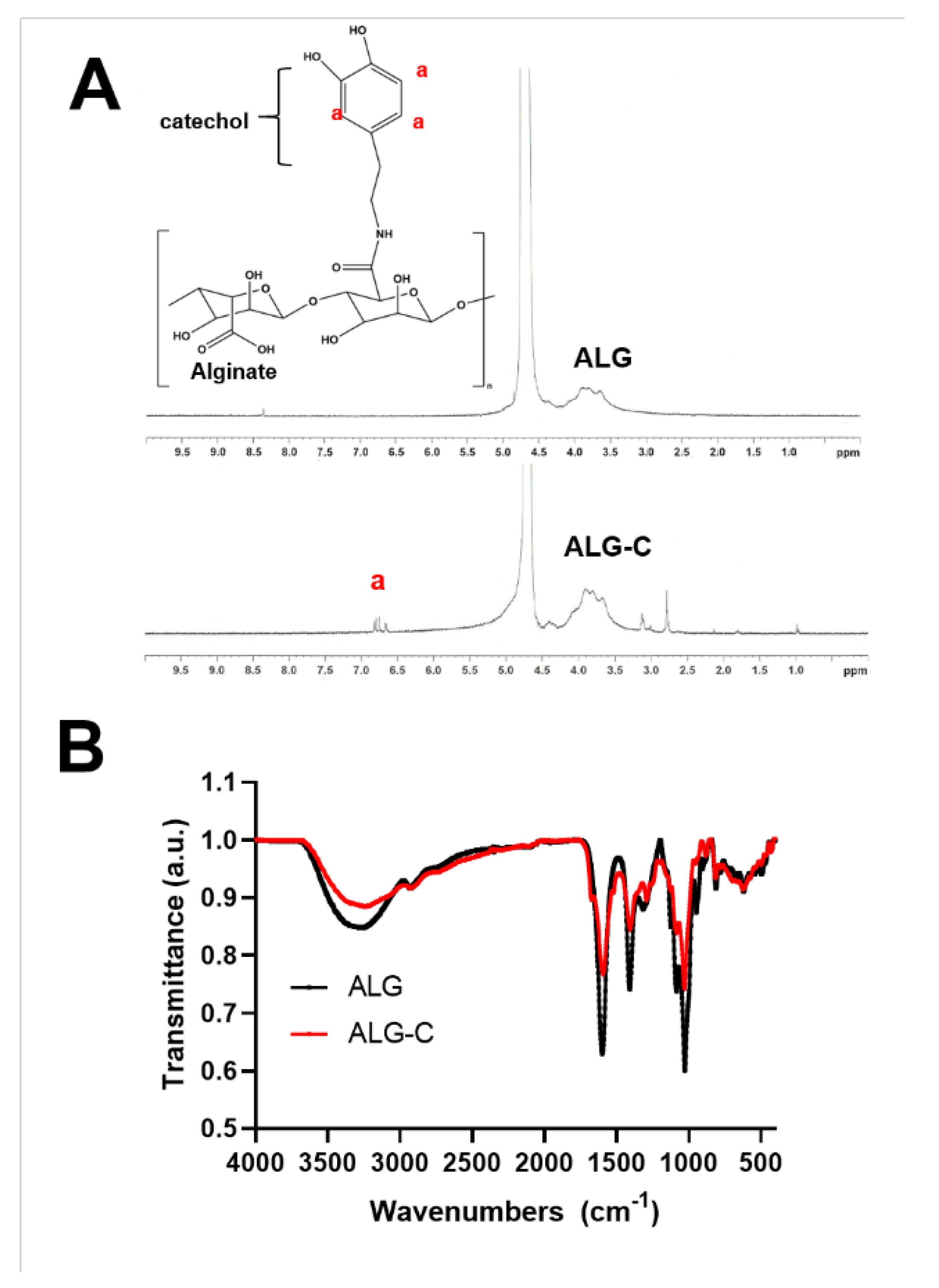Bioengineering 08 00164 g002