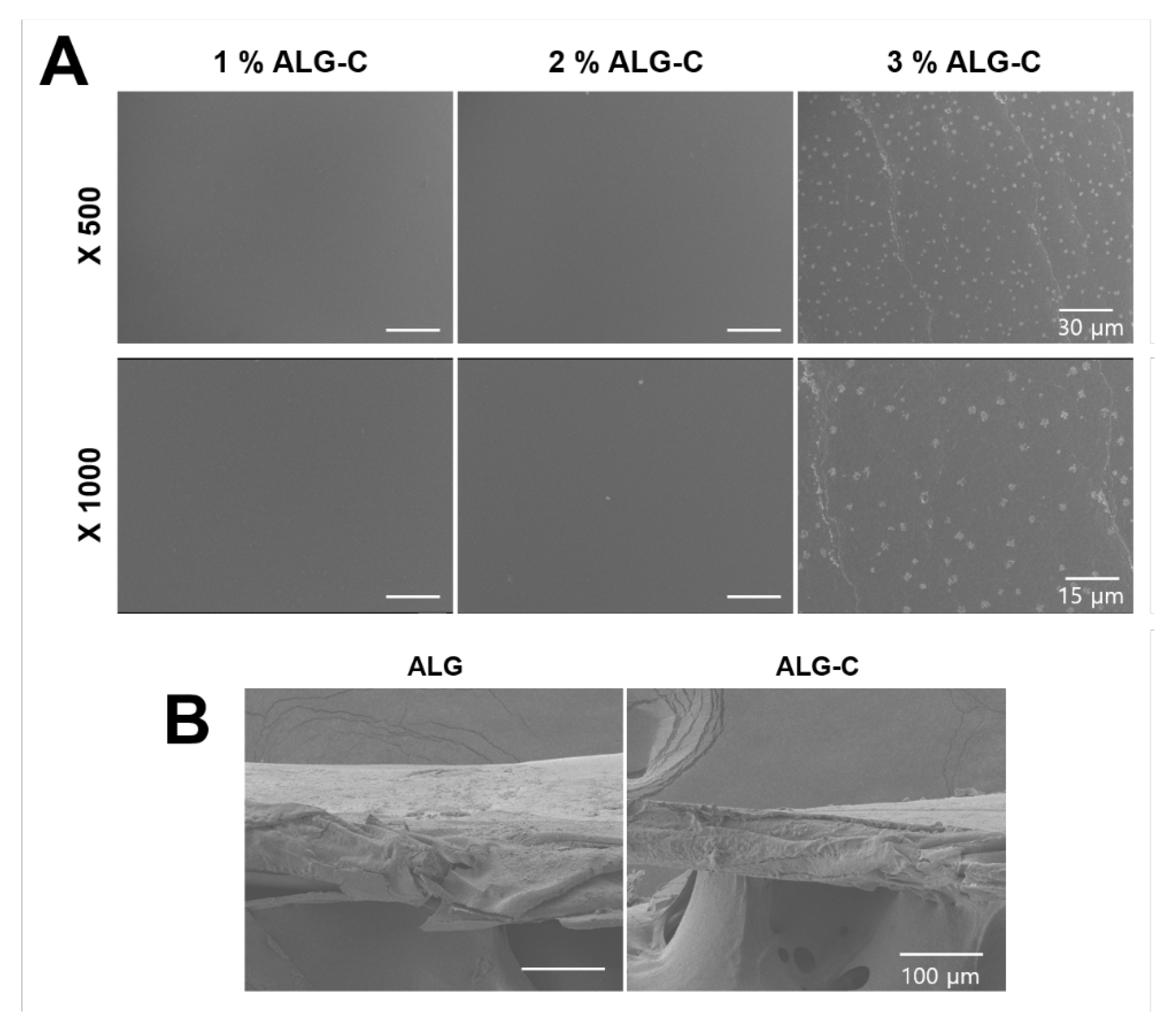 Bioengineering 08 00164 g003