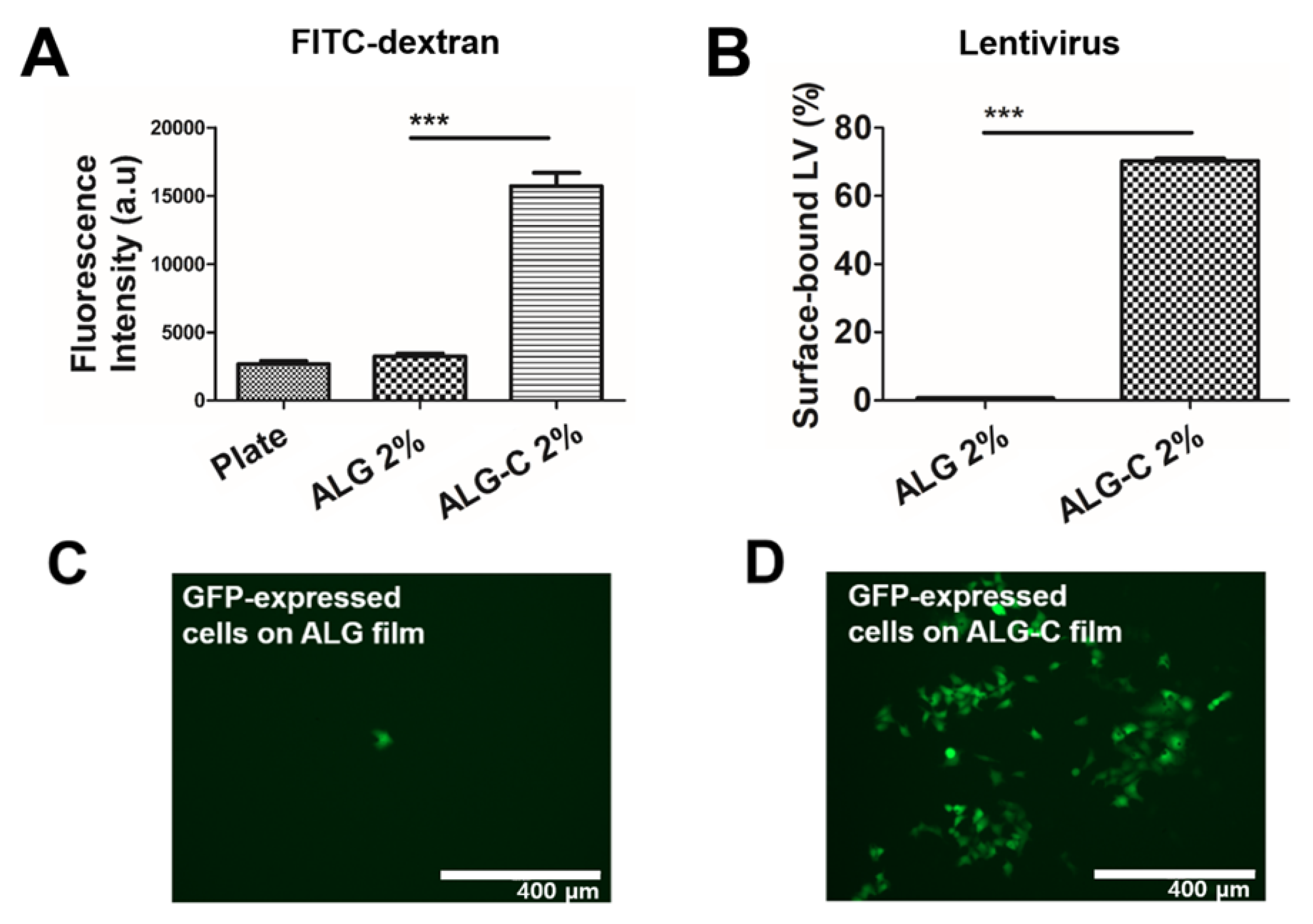 Bioengineering 08 00164 g006