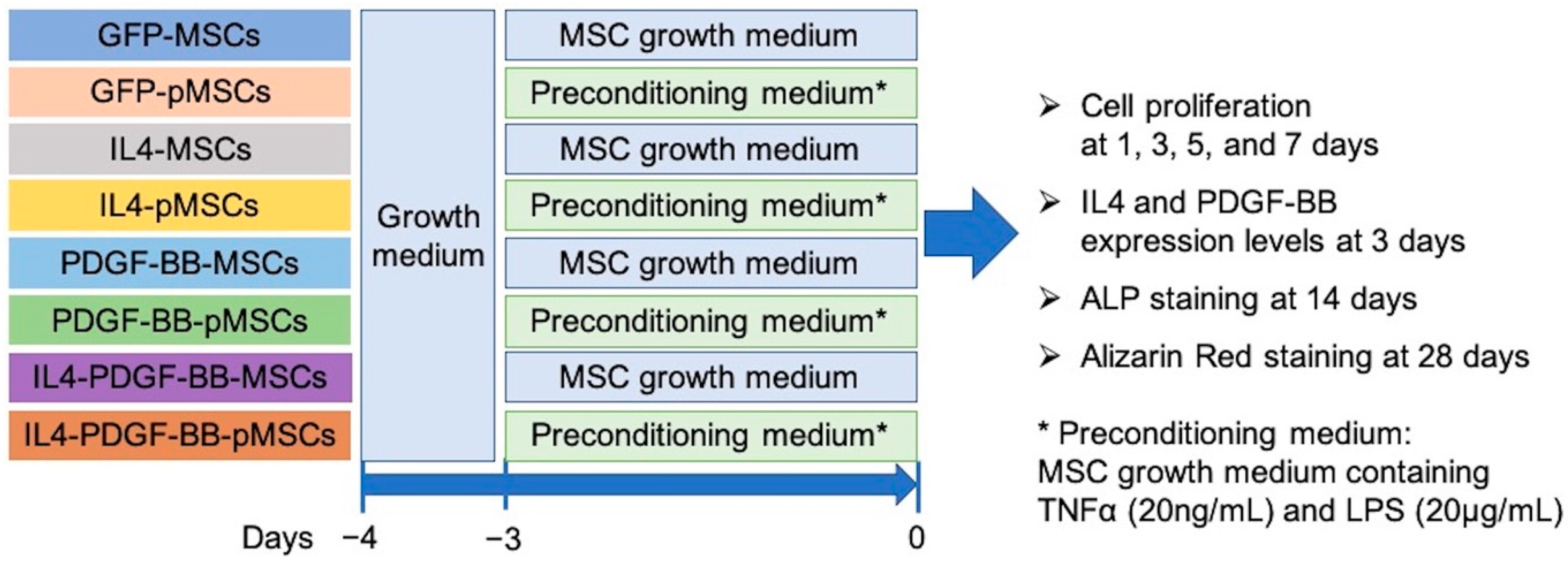 Bioengineering 08 00165 g002
