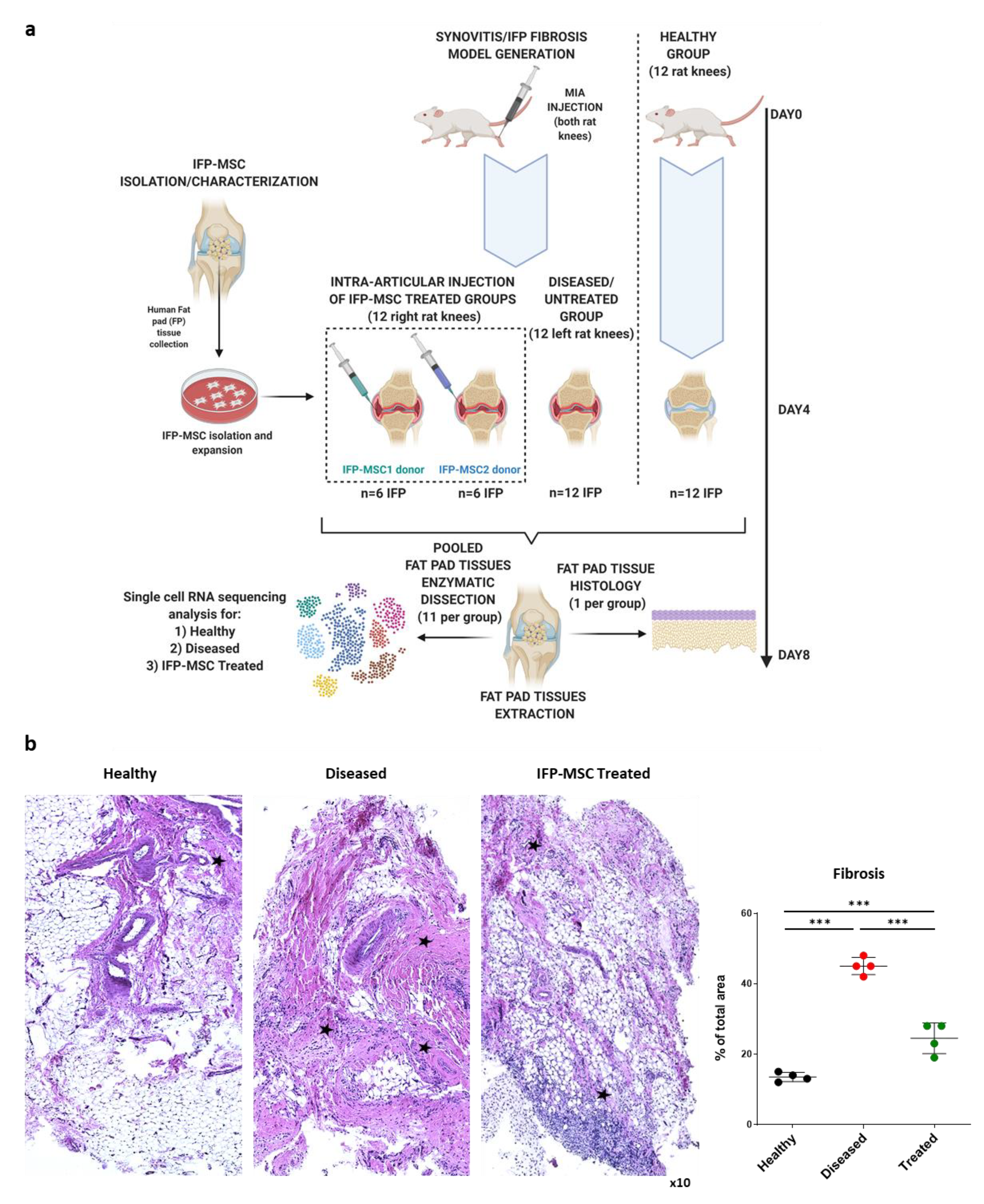 Bioengineering 08 00166 g001