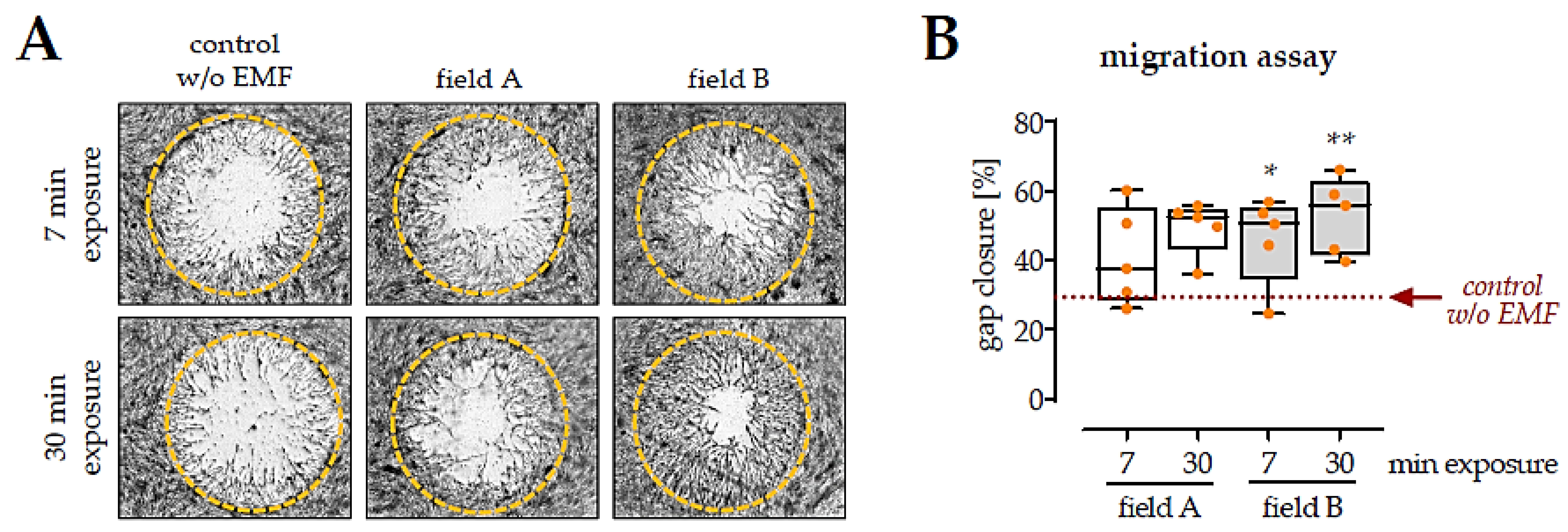 Bioengineering 08 00167 g005