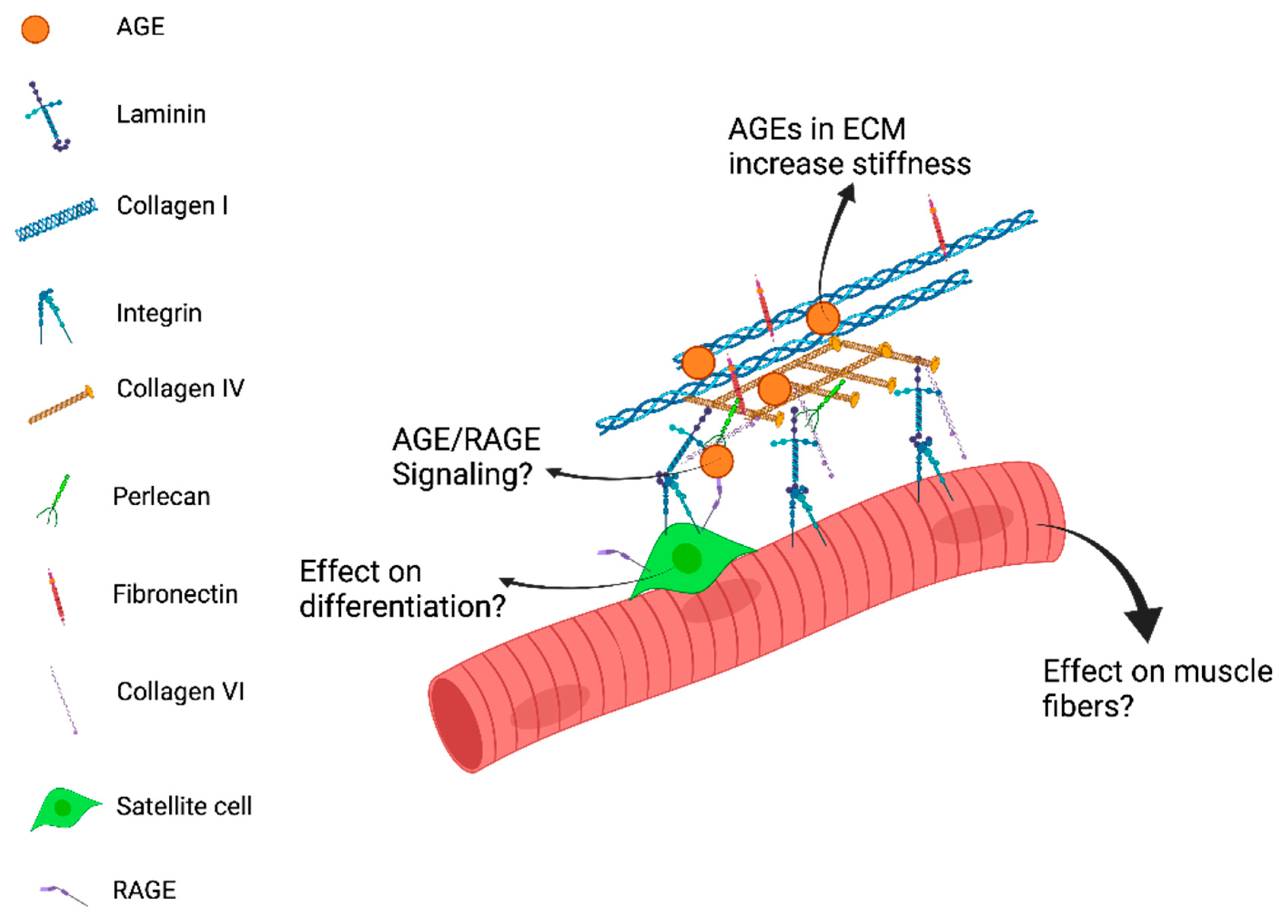 Bioengineering 08 00168 g001