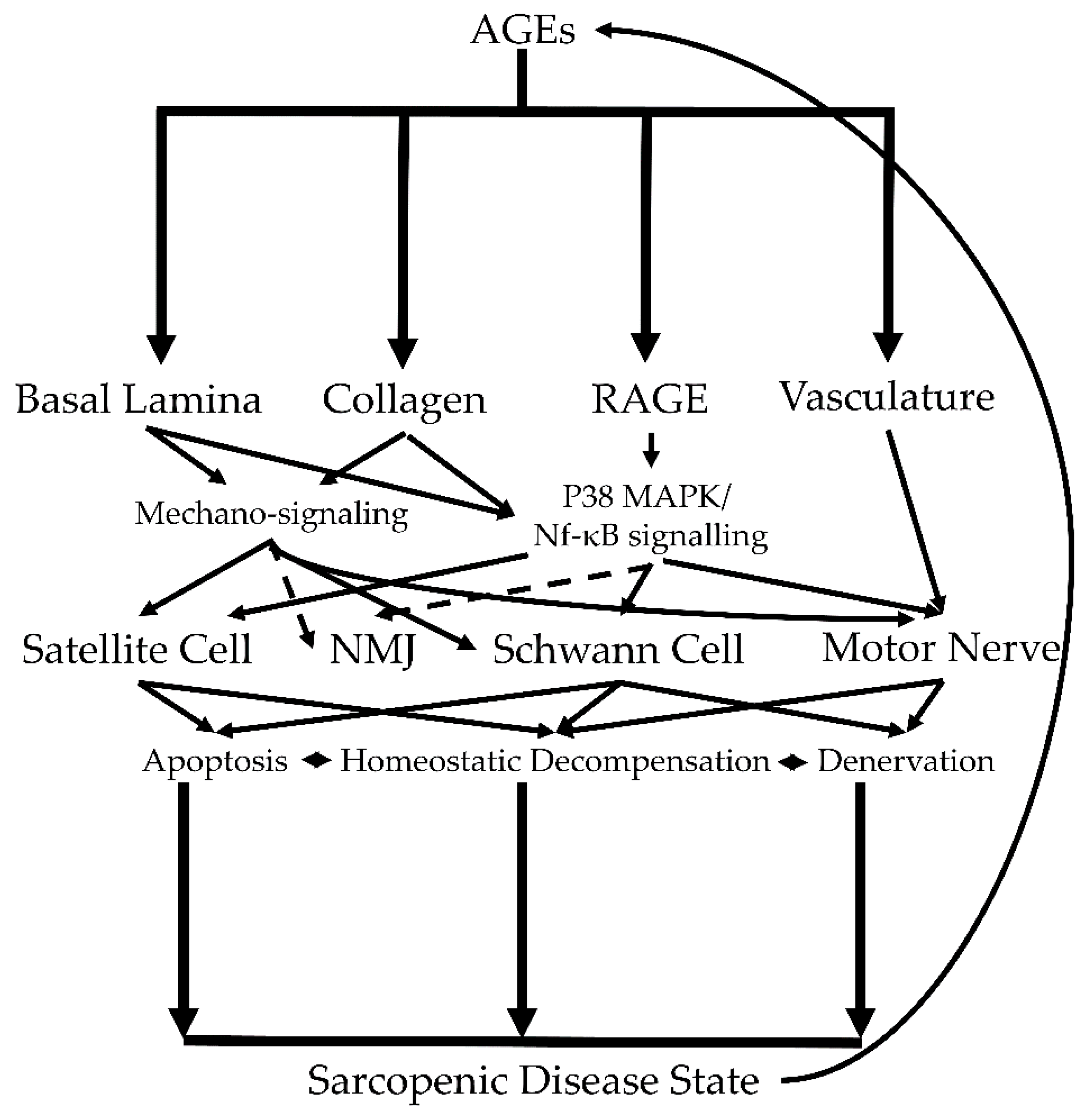 Bioengineering 08 00168 g003