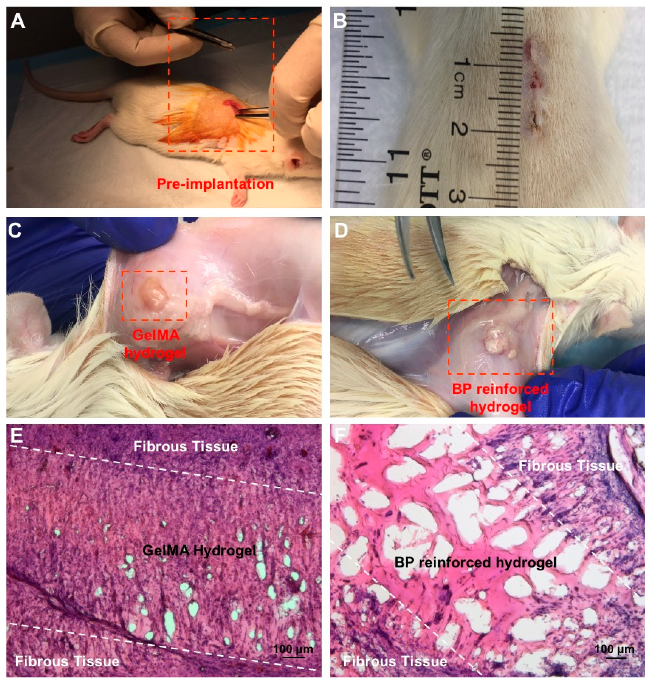Bioengineering 08 00169 g005 550