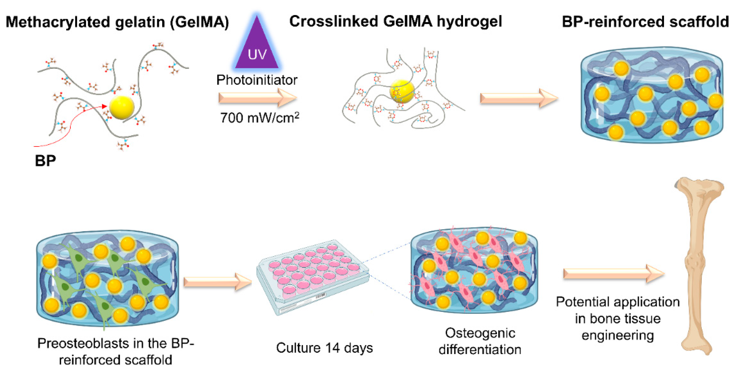Bioengineering 08 00169 sch001 550