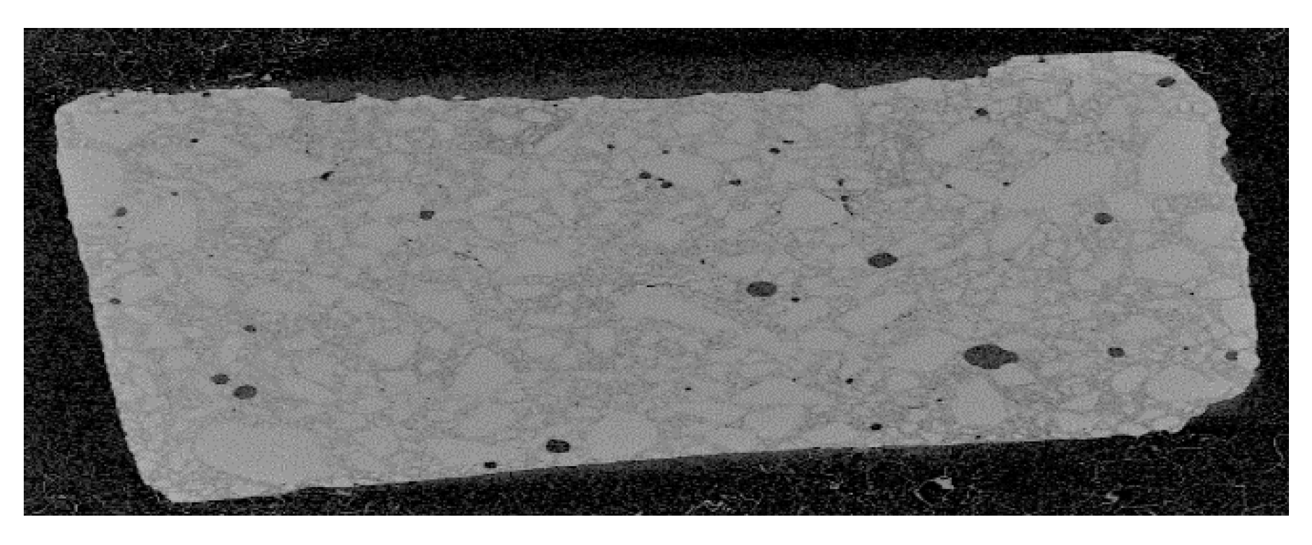 Bioengineering 08 00170 g003