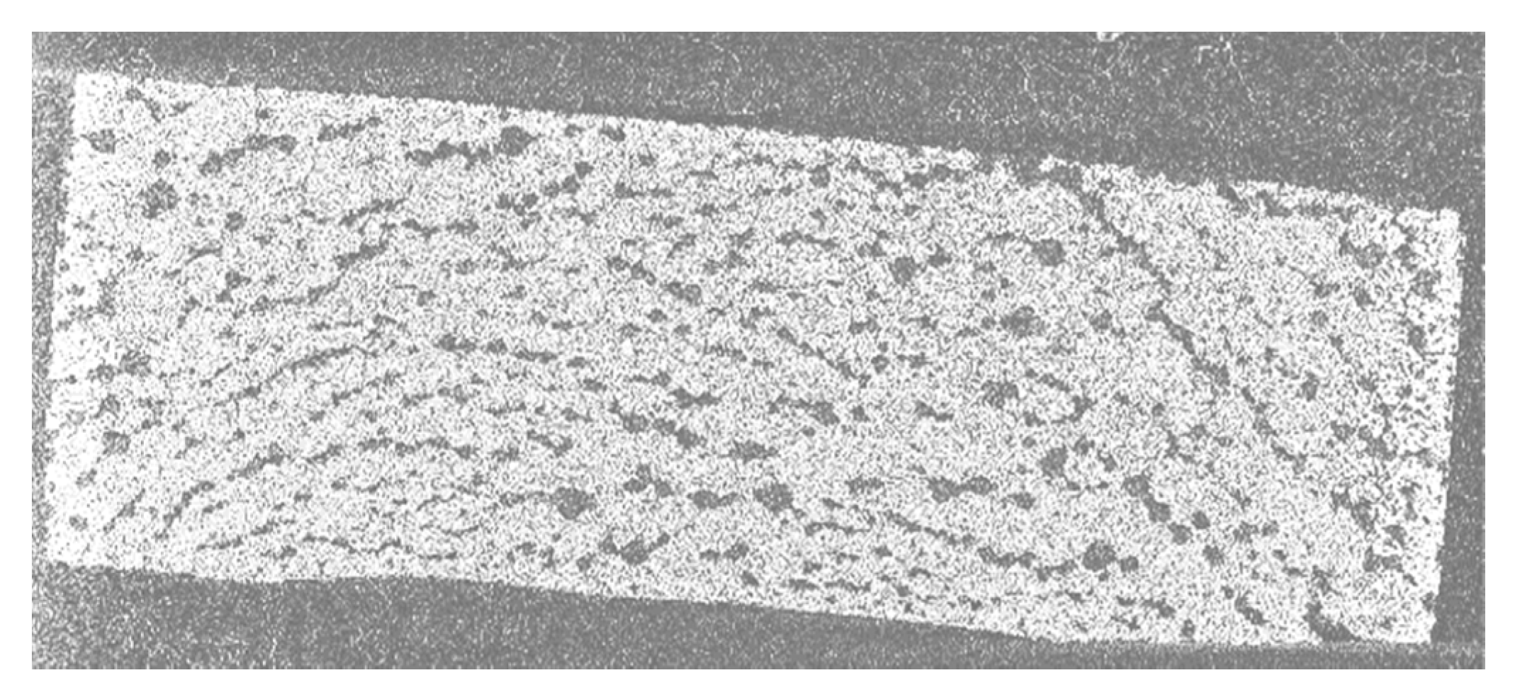 Bioengineering 08 00170 g004