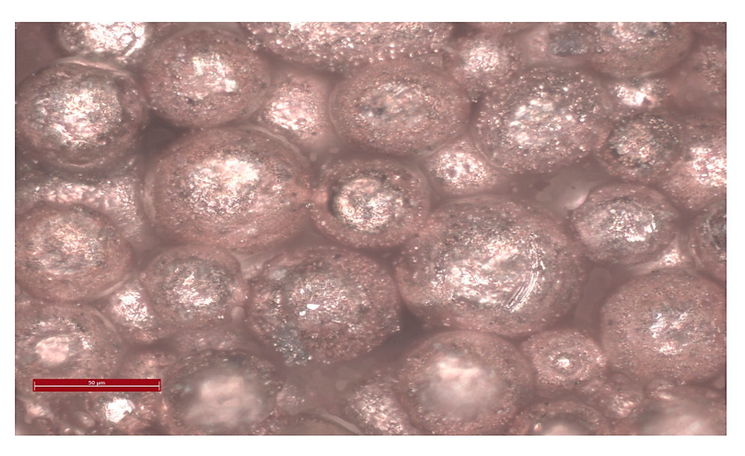 Bioengineering 08 00170 g008