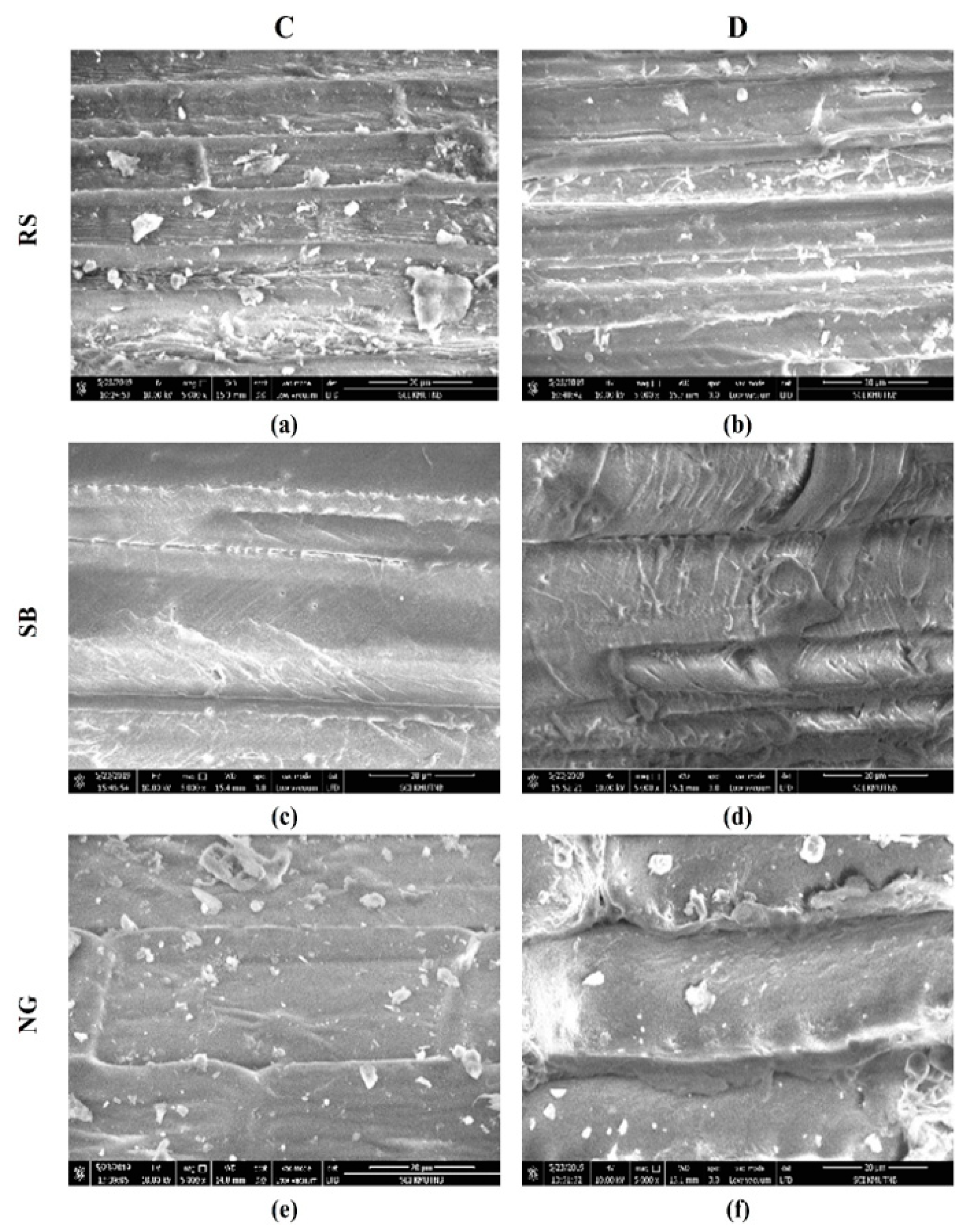 Bioengineering 08 00171 g003 550