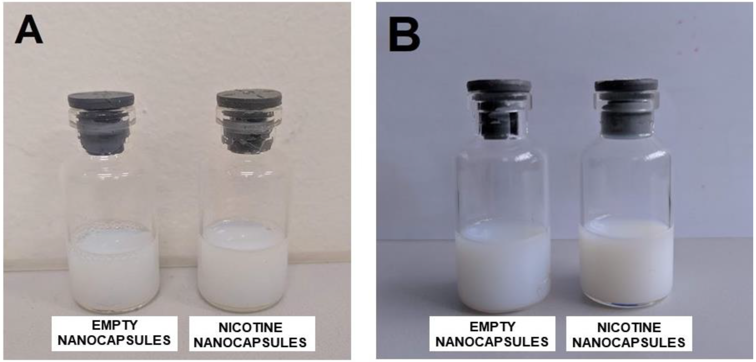 Bioengineering 08 00172 g001 550