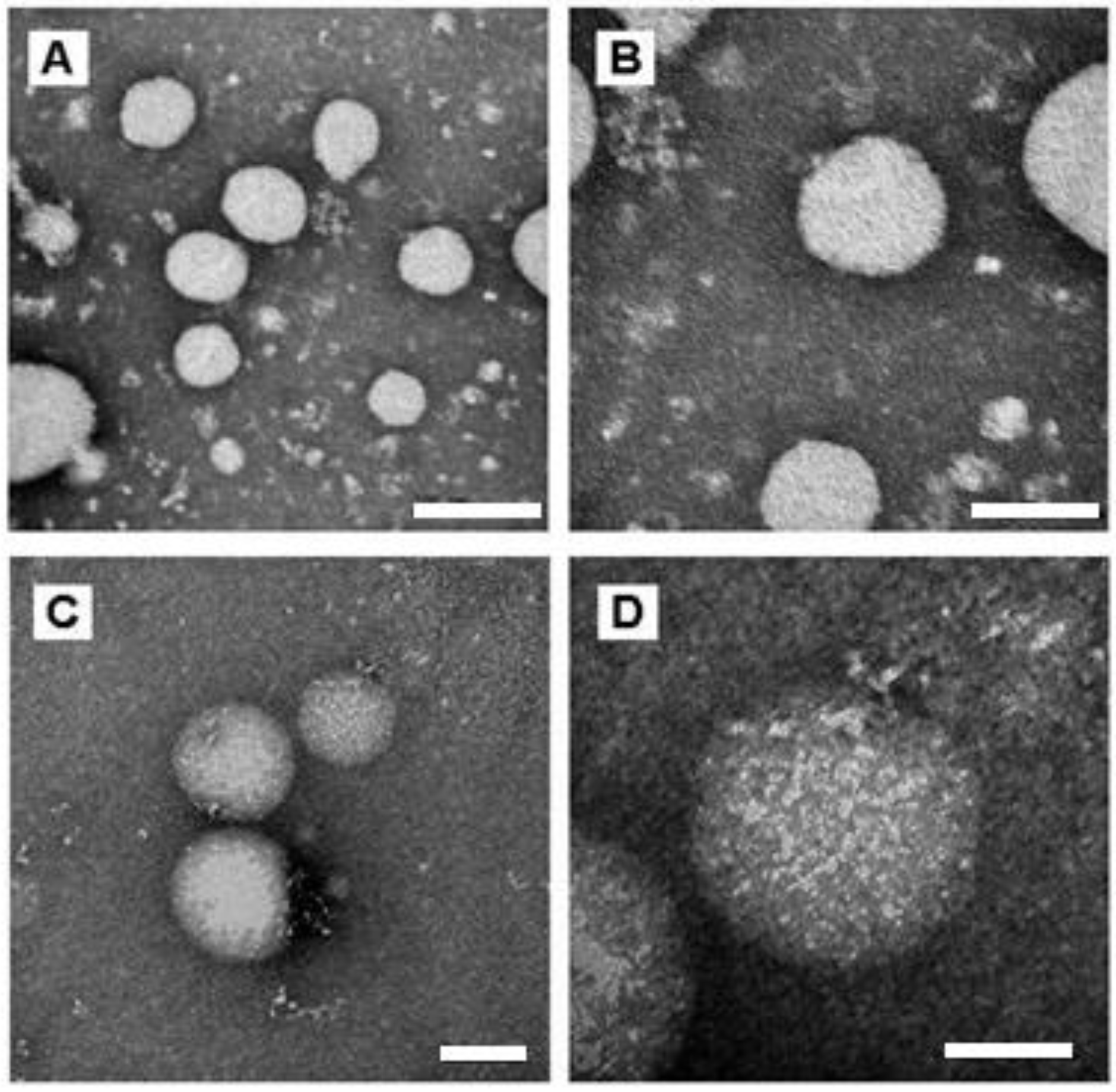 Bioengineering 08 00172 g002 550