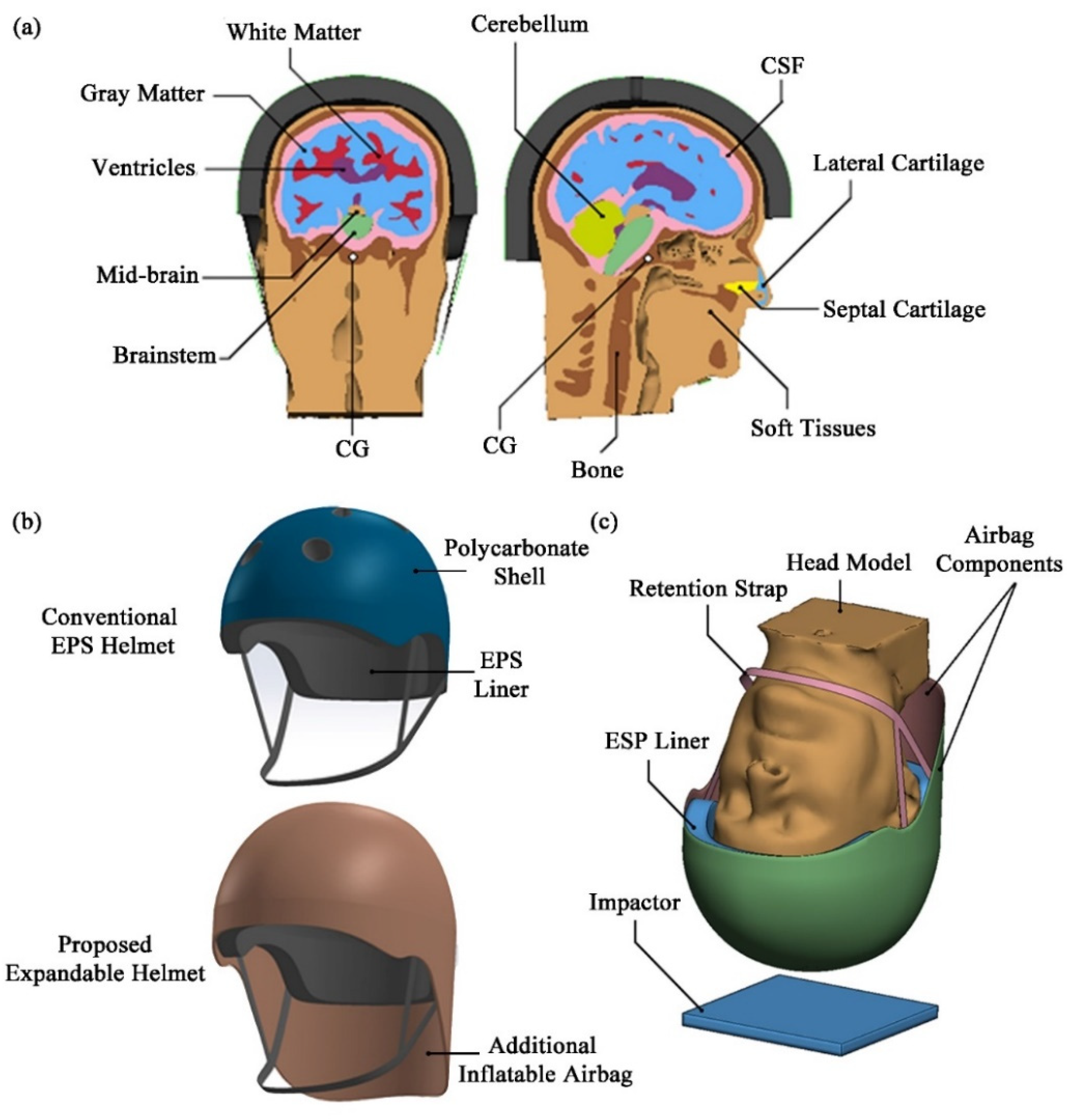 Bioengineering 08 00173 g001 Bioengineering 08 00173 g001