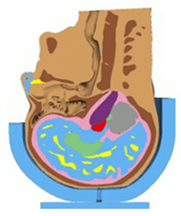 Bioengineering 08 00173 i003 Bioengineering 08 00173 i003