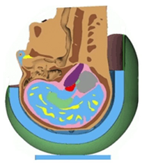 Bioengineering 08 00173 i004 Bioengineering 08 00173 i004