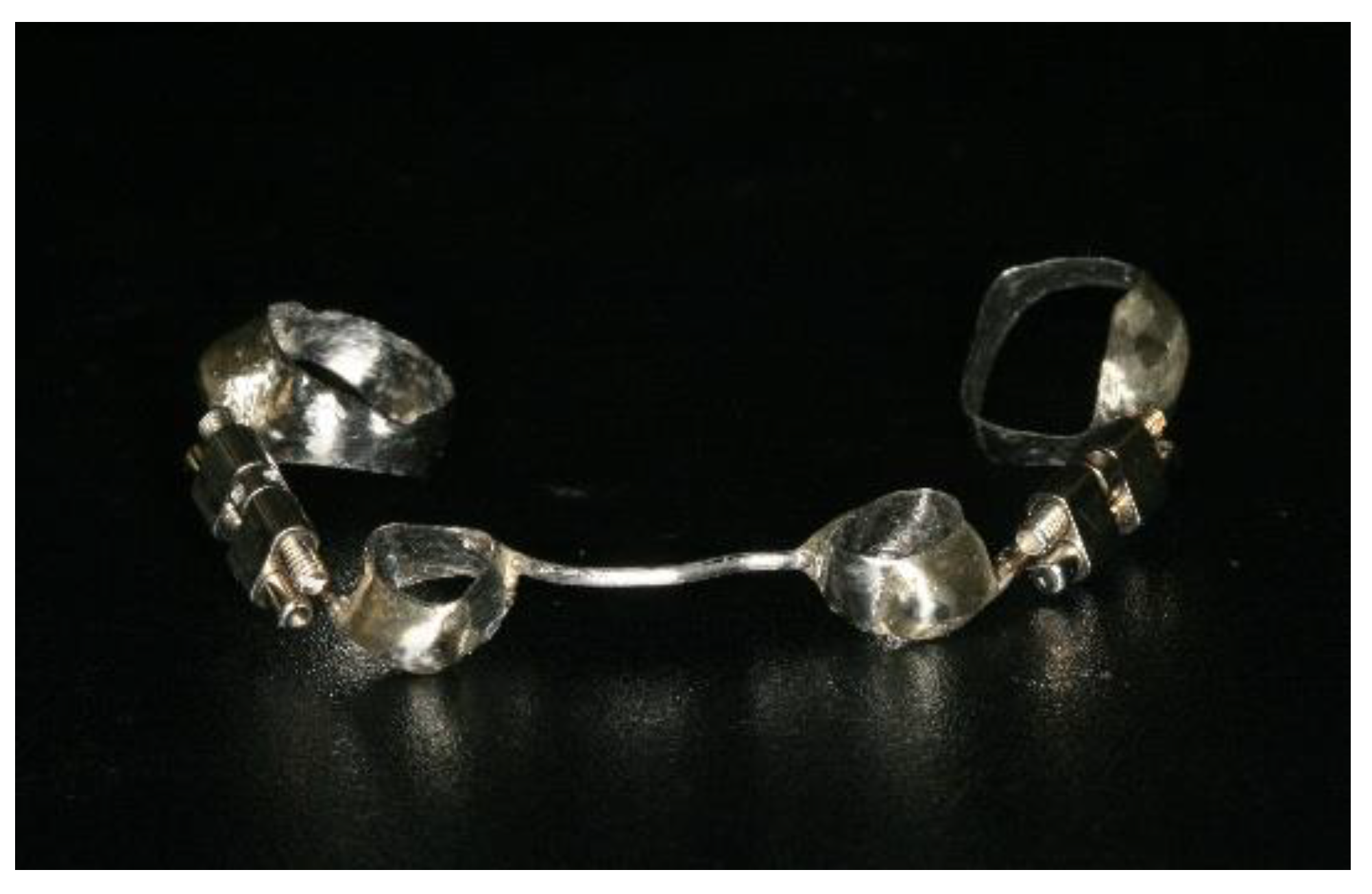 Bioengineering 08 00180 g001