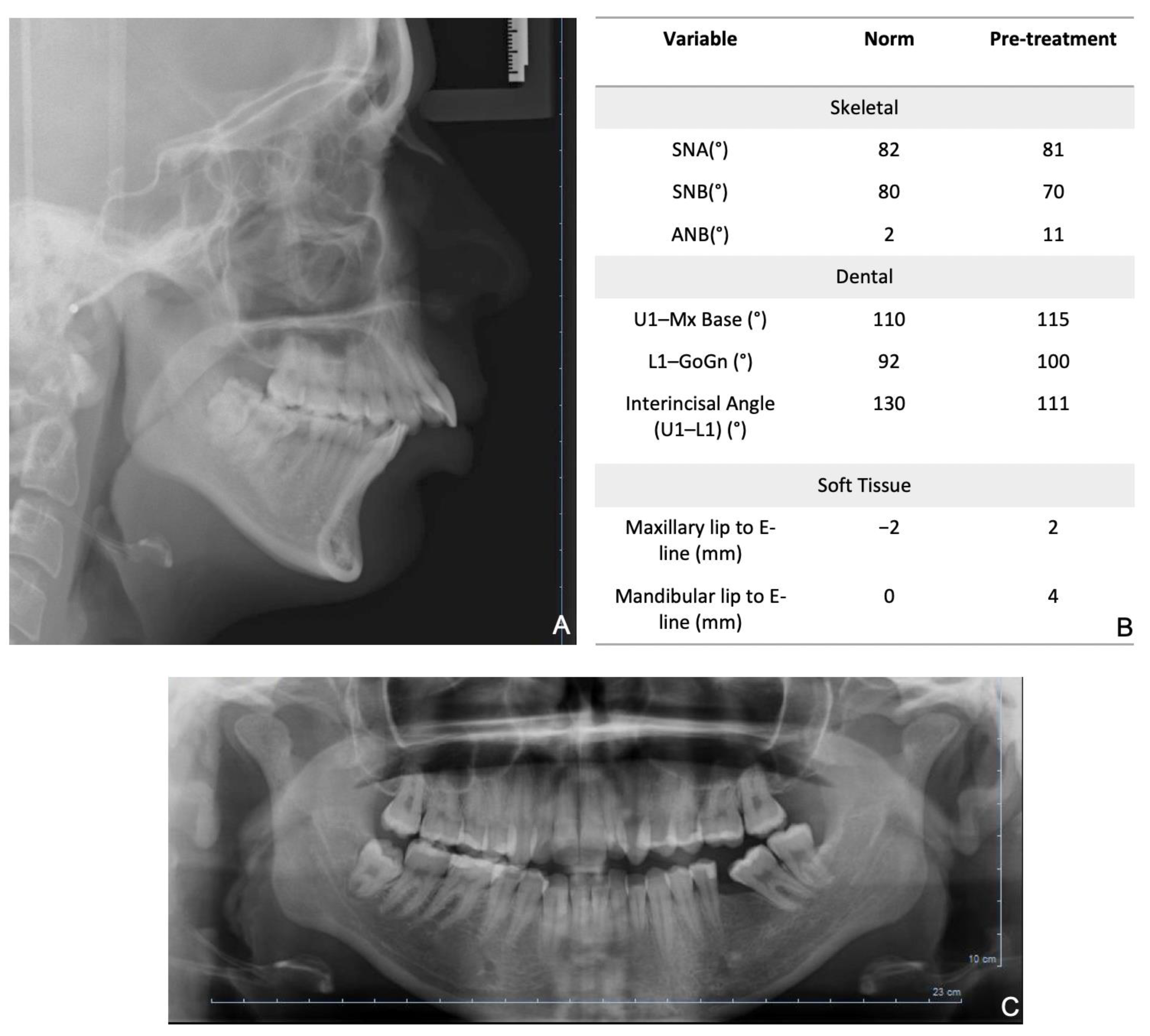 Bioengineering 08 00180 g002